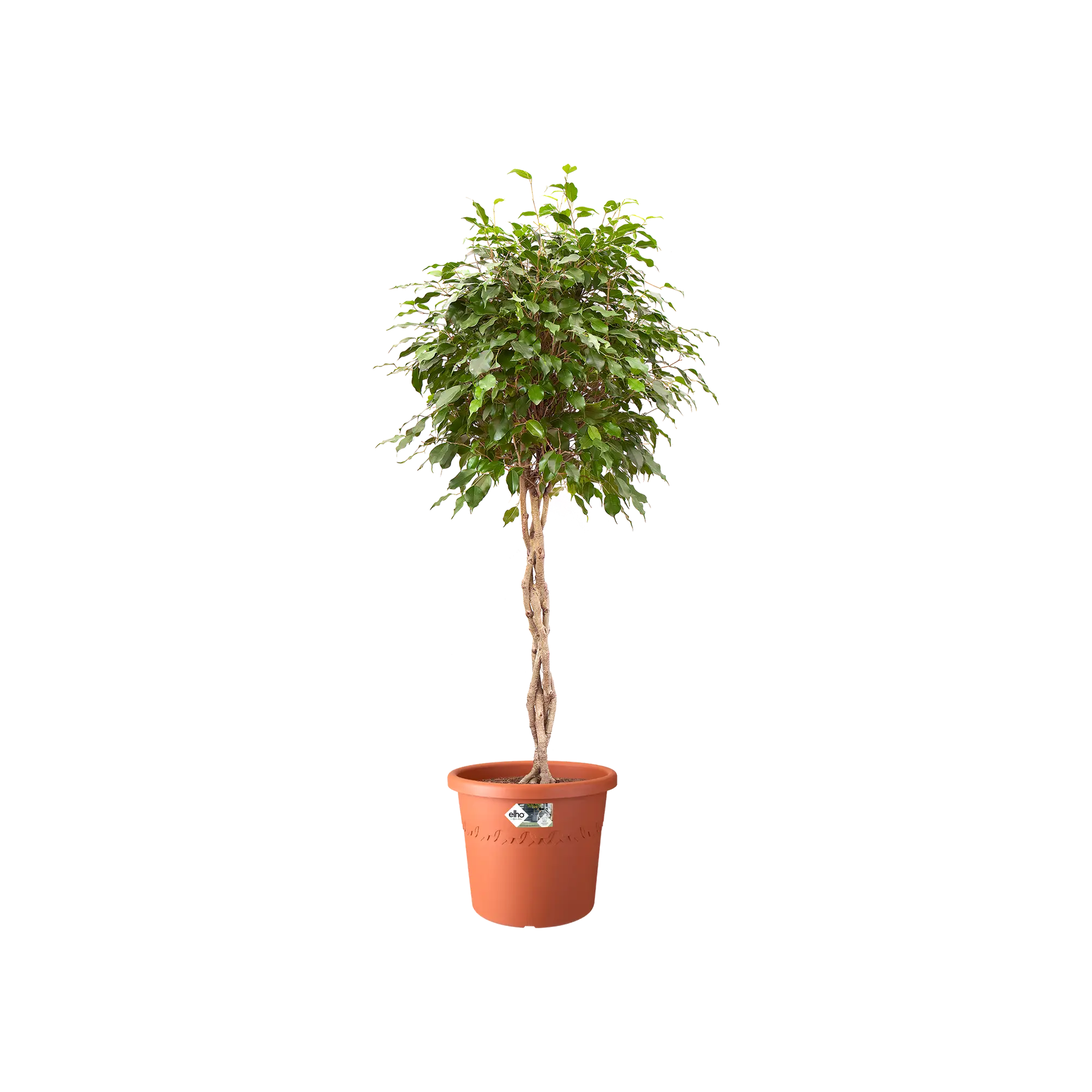 Elho Algarve Cilindro Wheels 48Cm (Terra) - Image 3