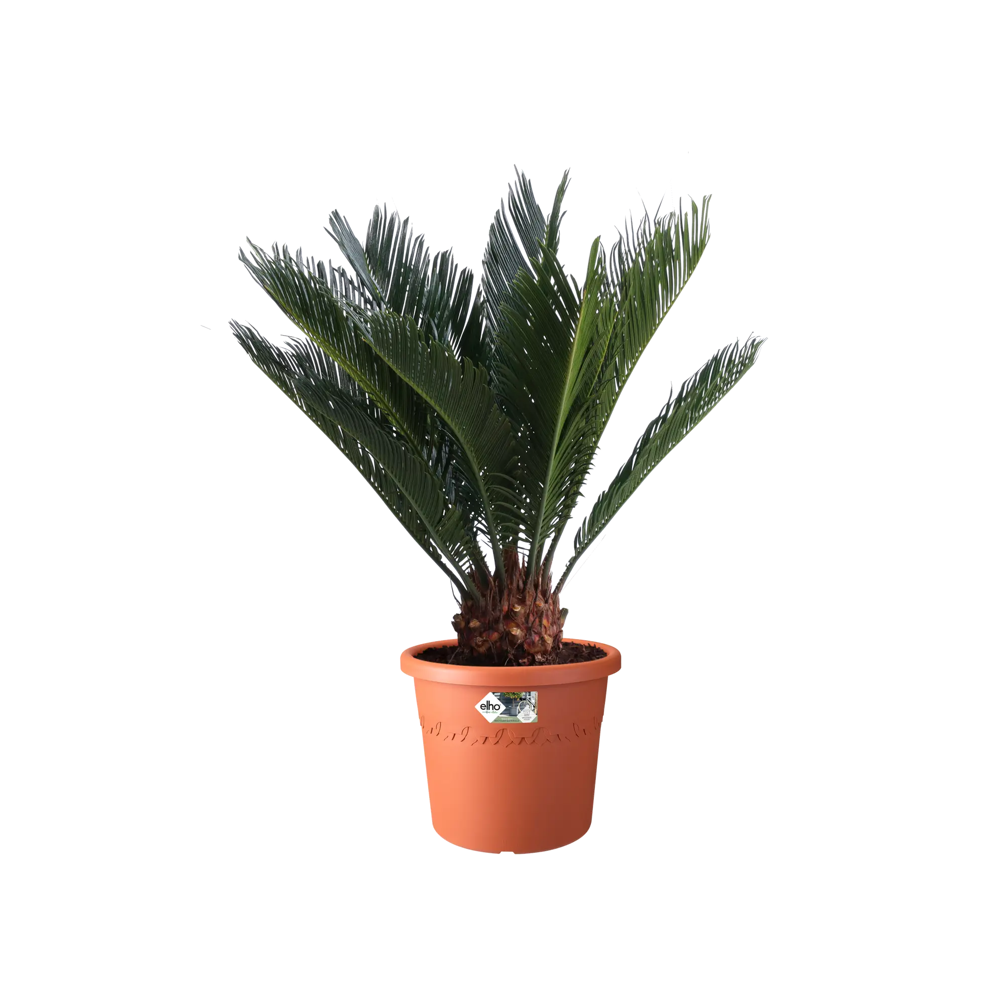 Elho Algarve Cilindro Wheels 48Cm (Terra) - Image 4