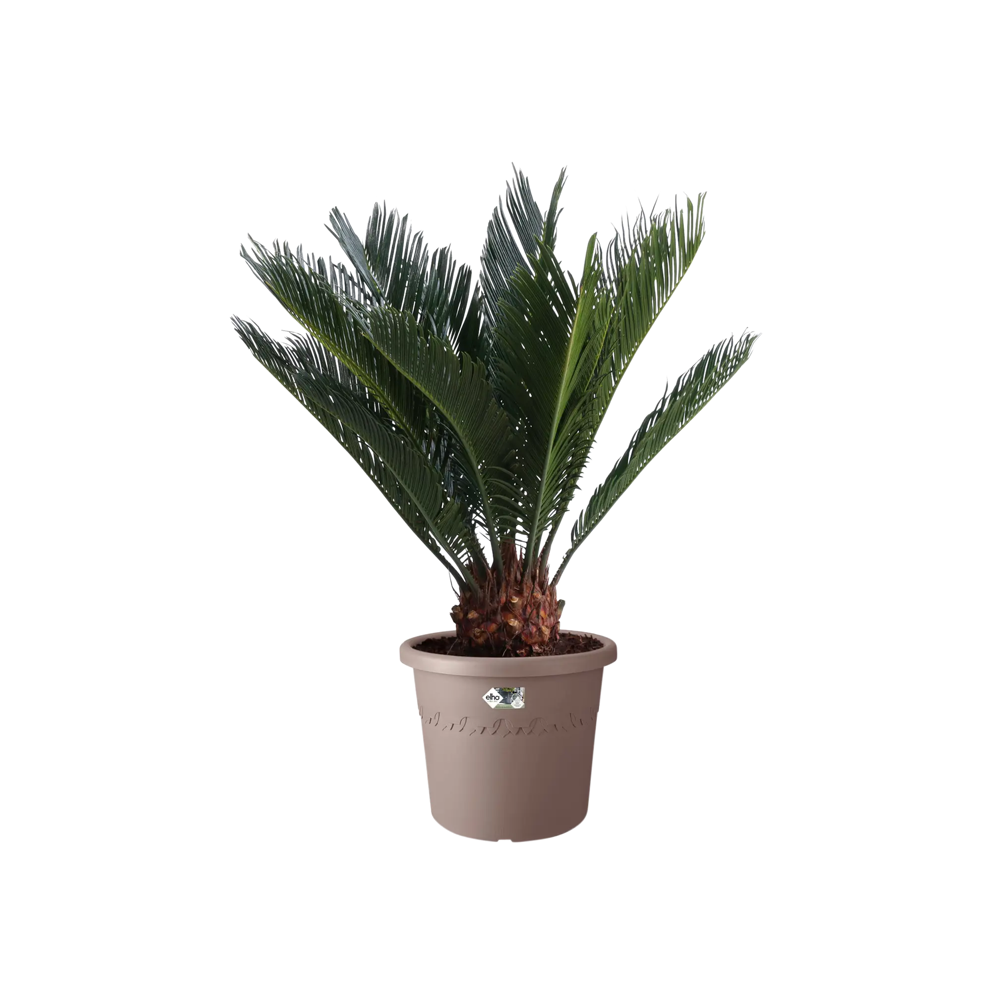 Elho Algarve Cilindro Wheels 48Cm (Taupe) - Image 3