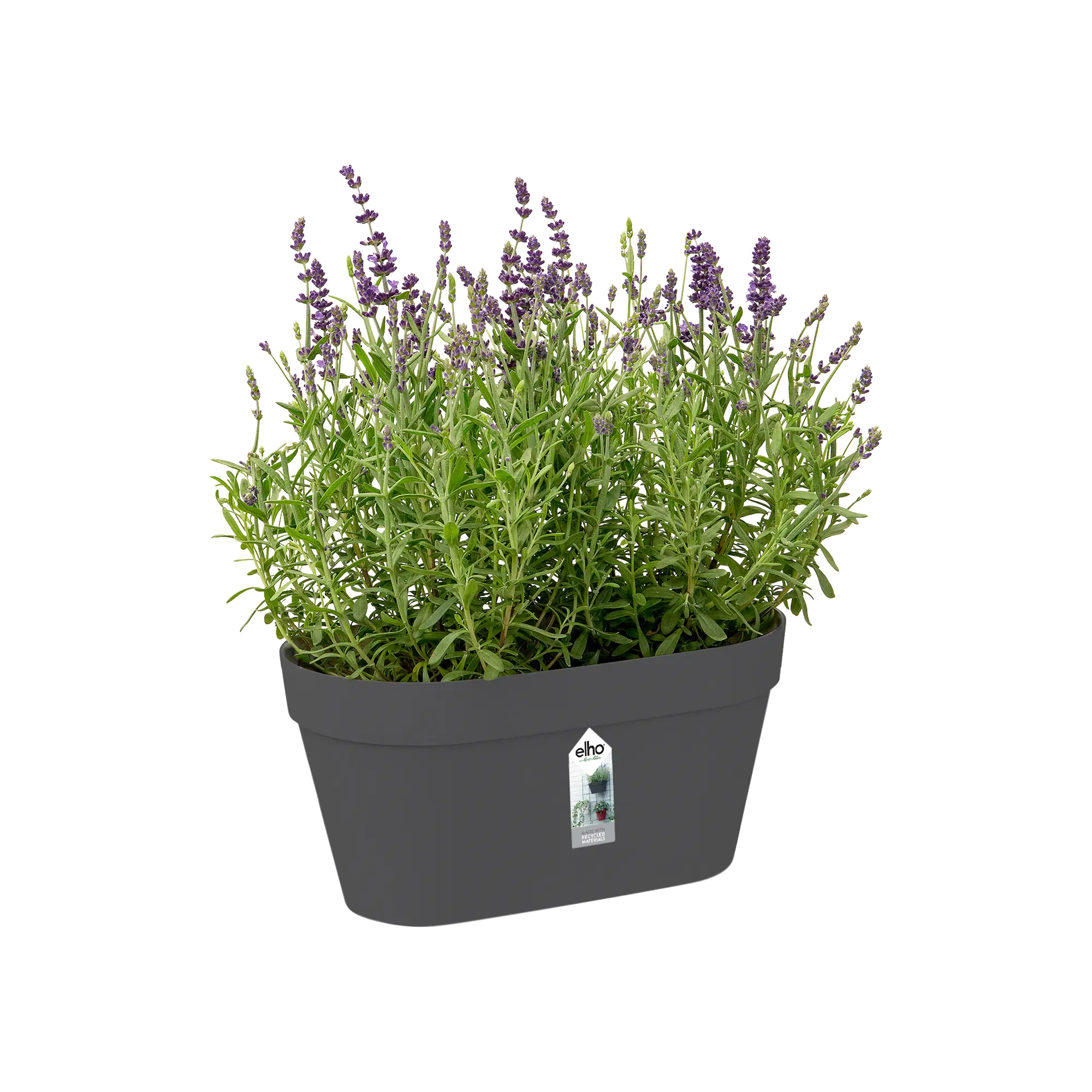 Elho Loft Urban Green Wall Duo 28Cm (Anthracite) - Image 3