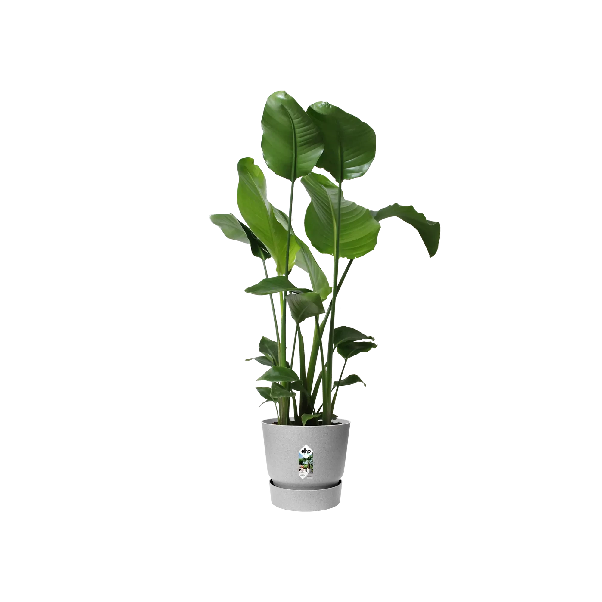 Elho Greenville Round 30Cm (Concrete) - Image 4