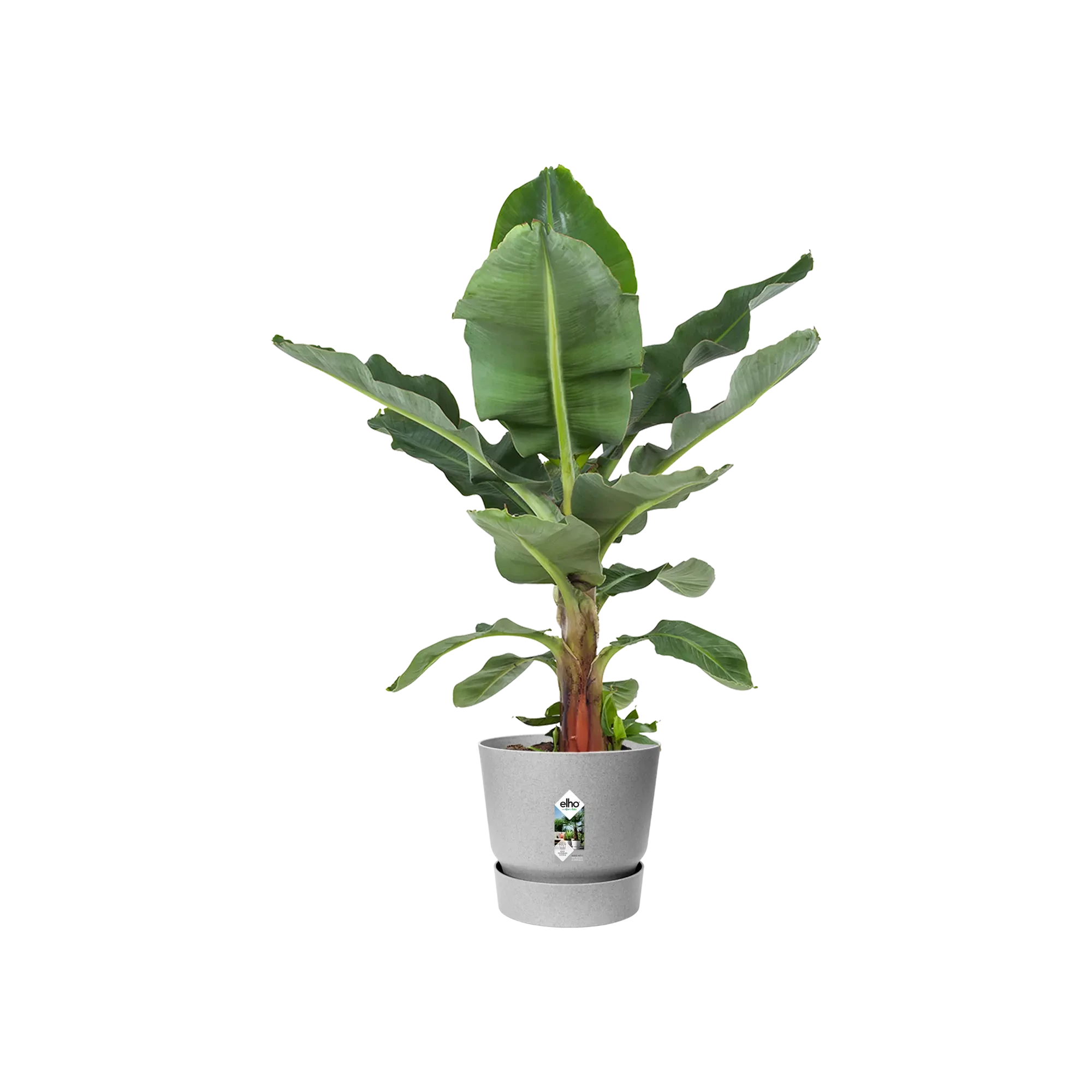 Elho Greenville Round 30Cm (Concrete) - Image 5