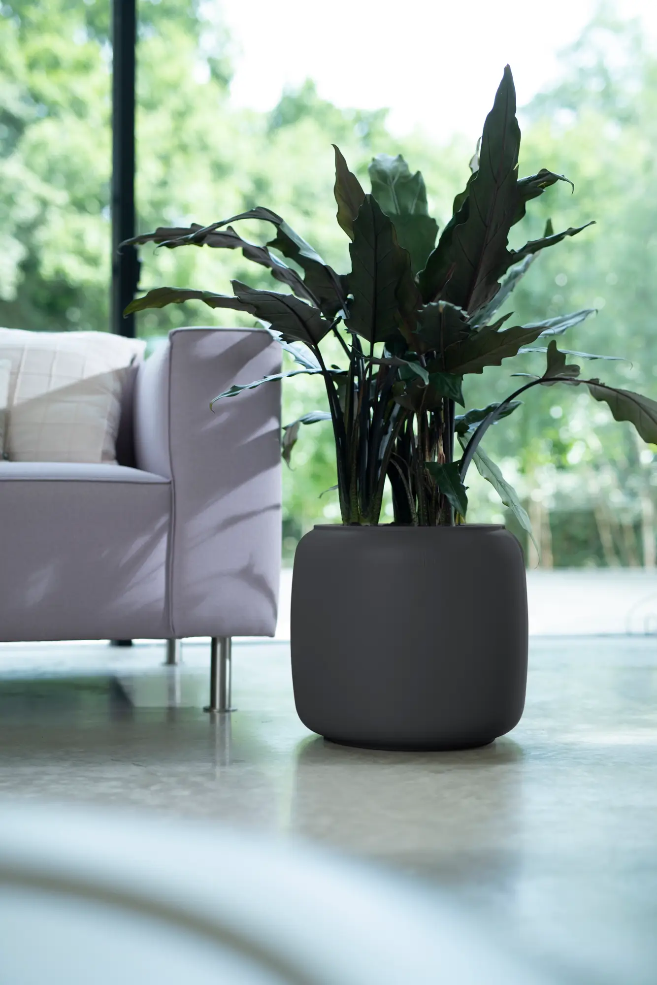 Elho Pure Beads Small 40 (Brown) - Image 6