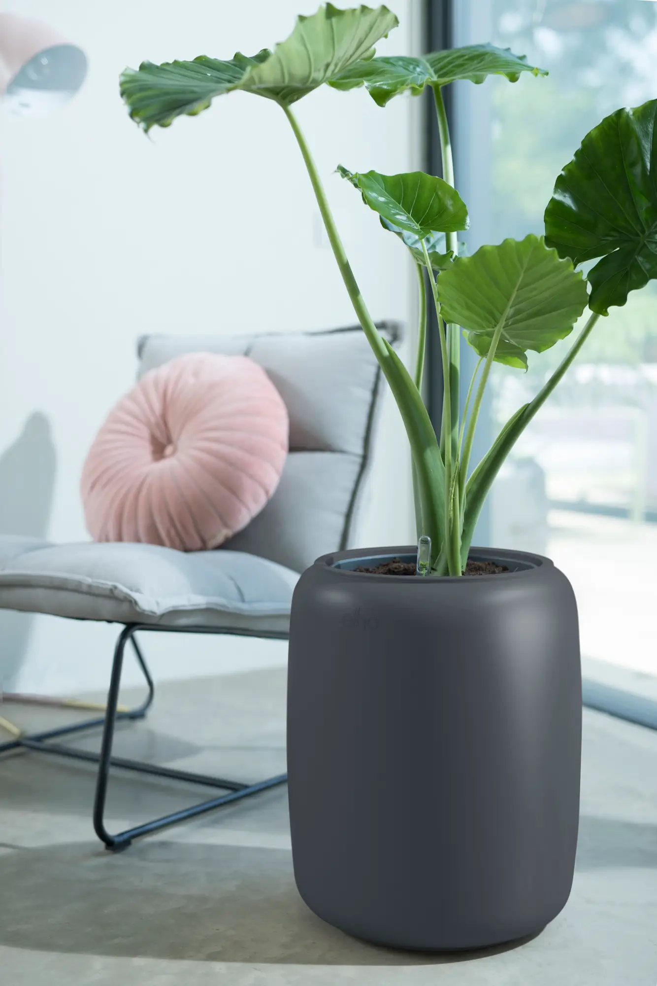 Elho Pure Beads Medium 40 (Brown) - Image 2