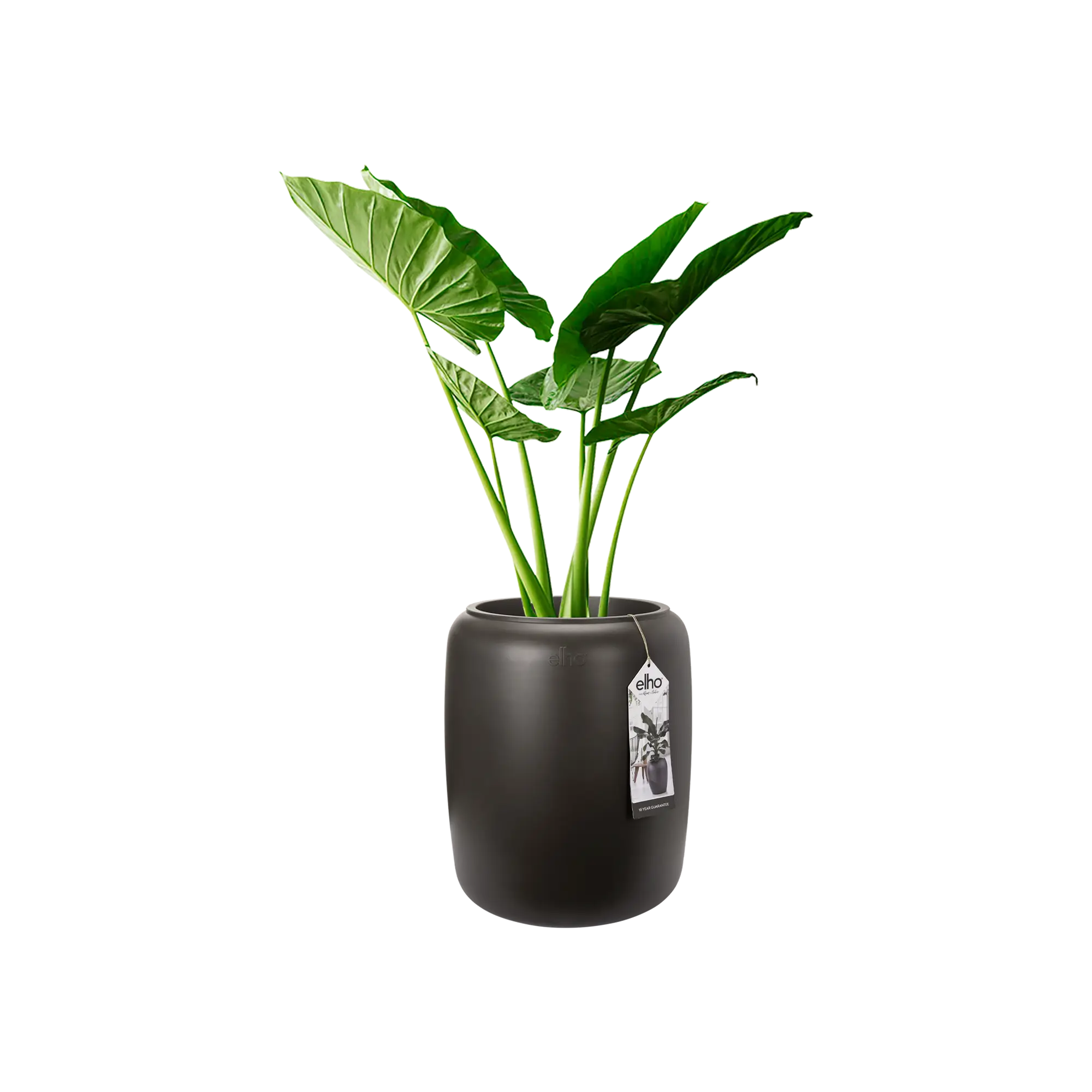 Elho Pure Beads Medium 40 (Brown) - Image 5