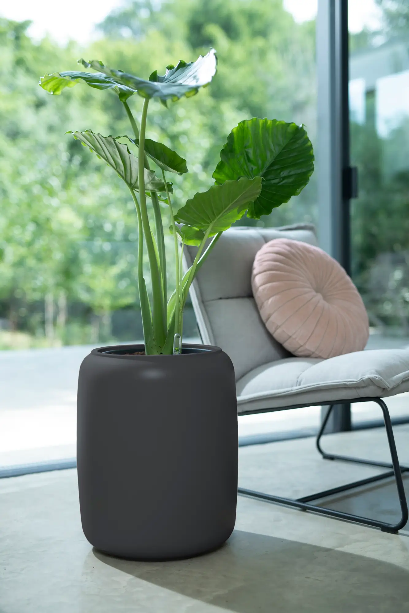 Elho Pure Beads Medium 40 (Brown) - Image 11