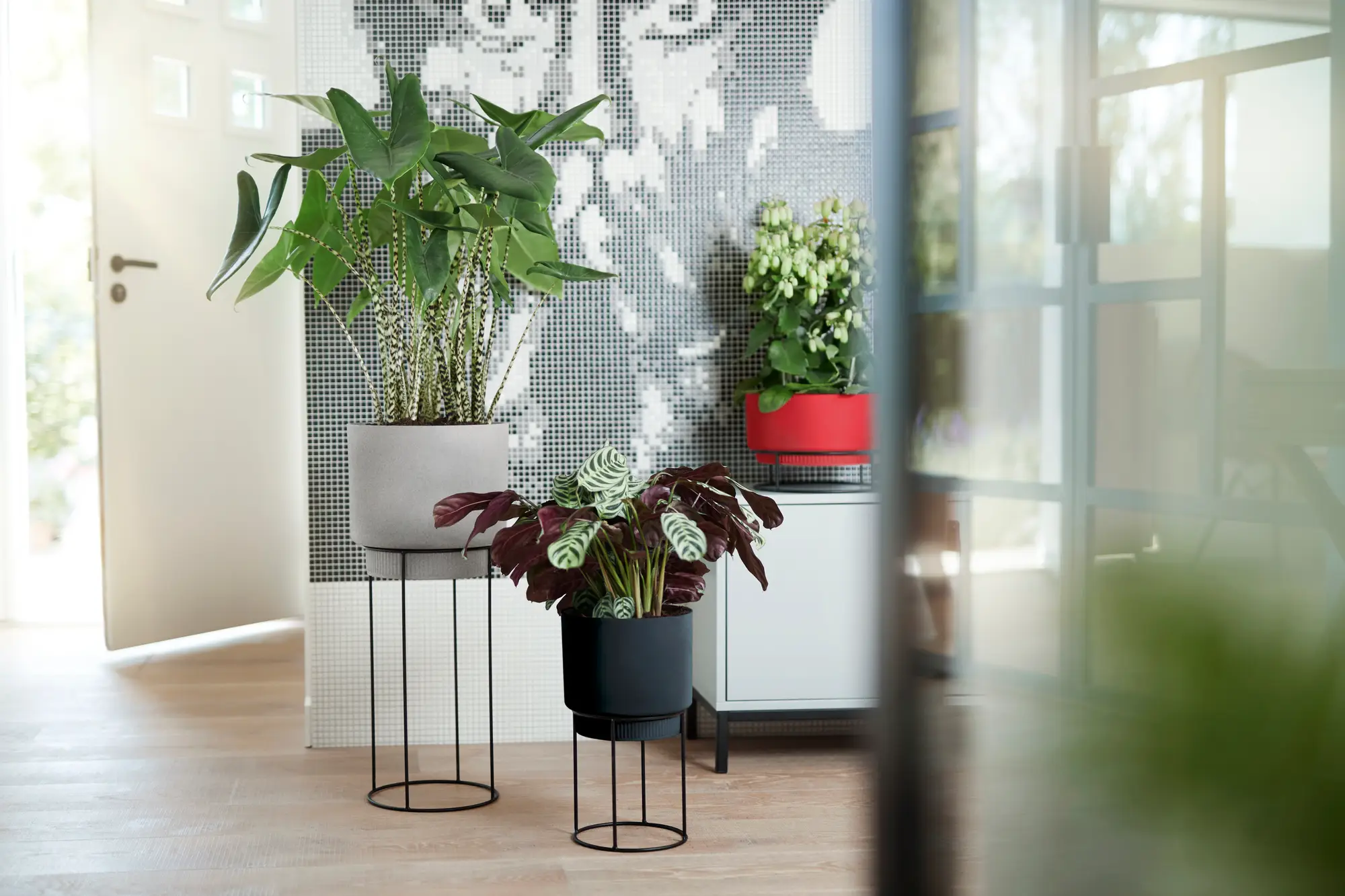 Elho B.For Studio Round 22Cm (Black) - Image 2