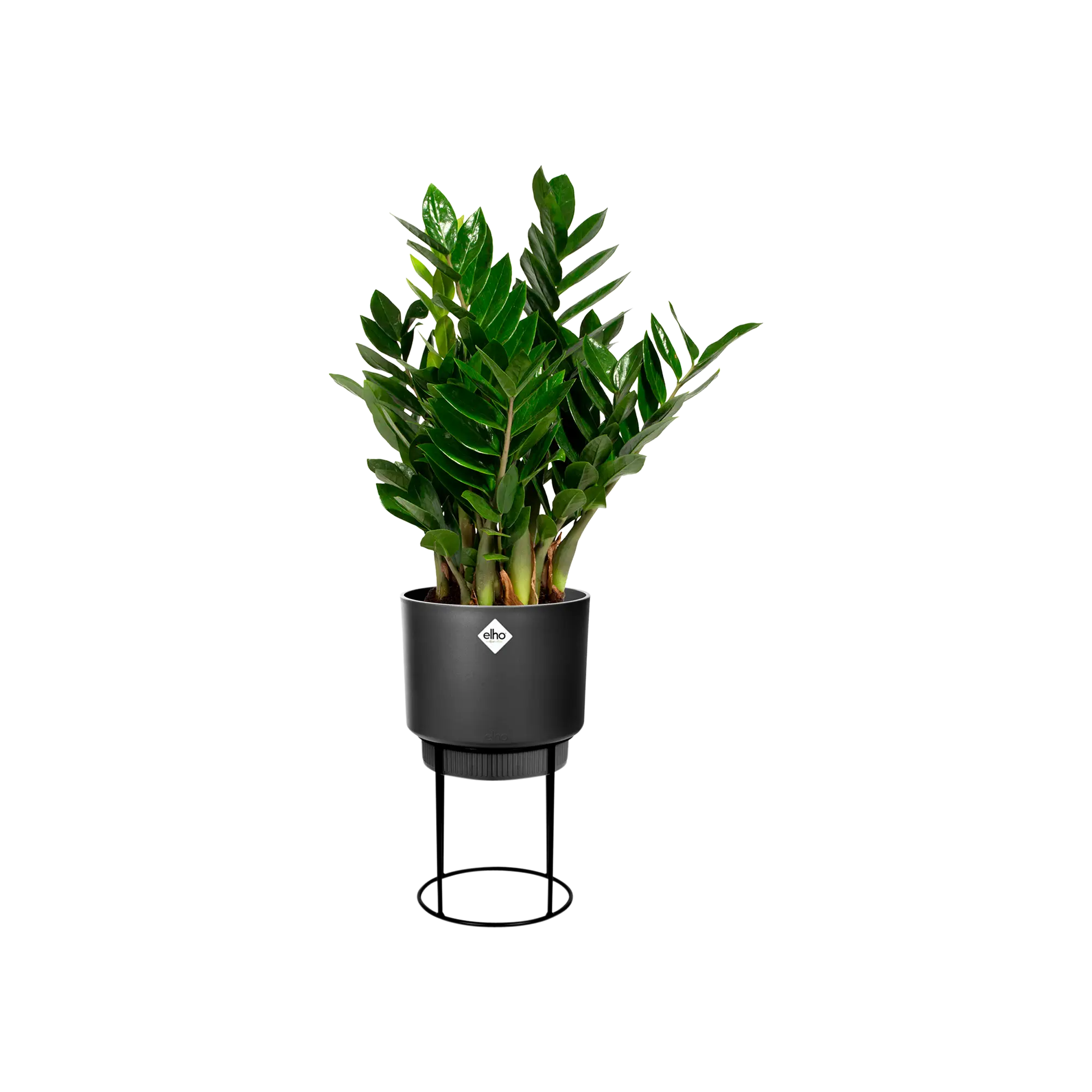 Elho B.For Studio Round 22Cm (Black) - Image 7