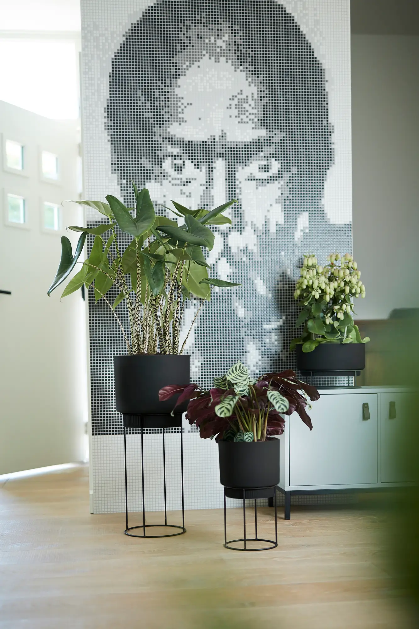 Elho B.For Studio Round 22Cm (Black) - Image 9