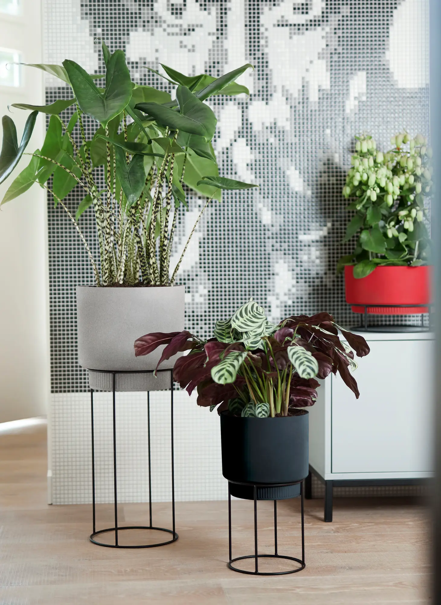 Elho B.For Studio Round 22Cm (Black) - Image 10