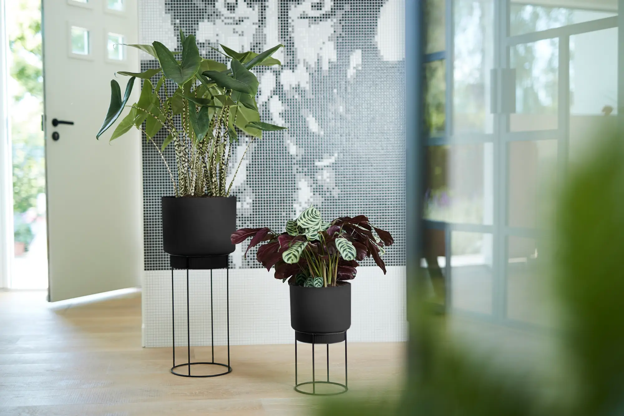 Elho B.For Studio Round 22Cm (Black) - Image 11