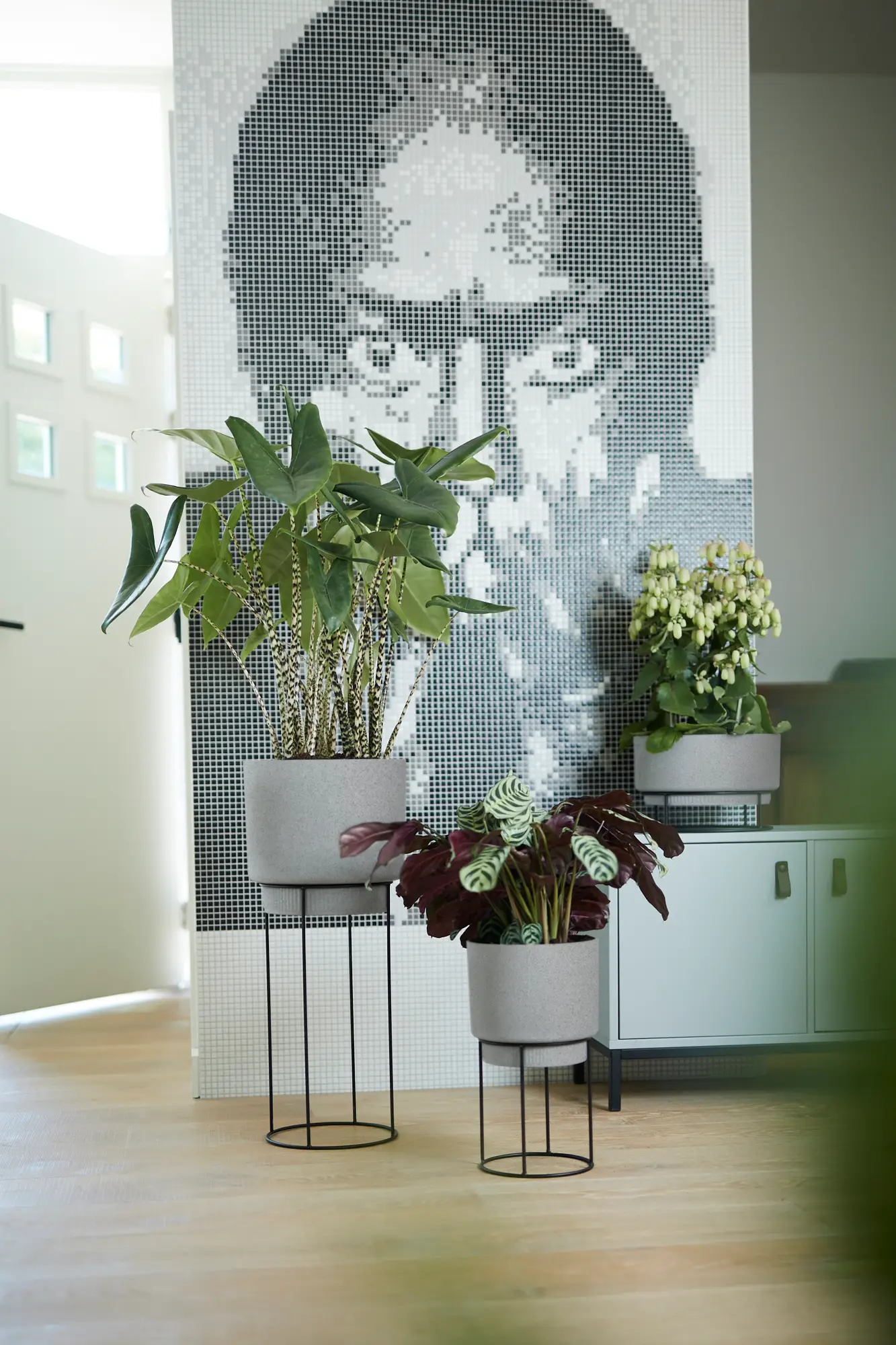 Elho B.For Studio Bowl 30Cm (Concrete) - Image 8