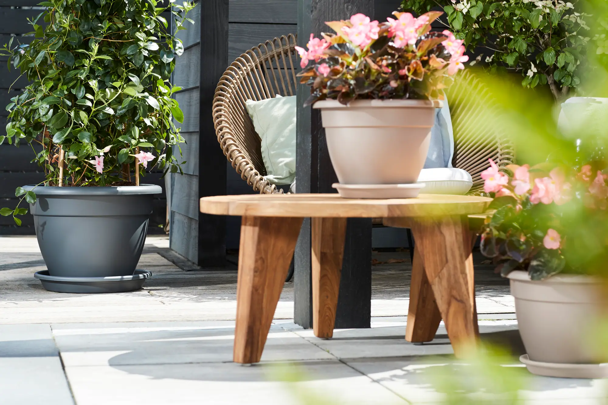 Elho Universal Saucer Round 30Cm (Taupe) - Image 4