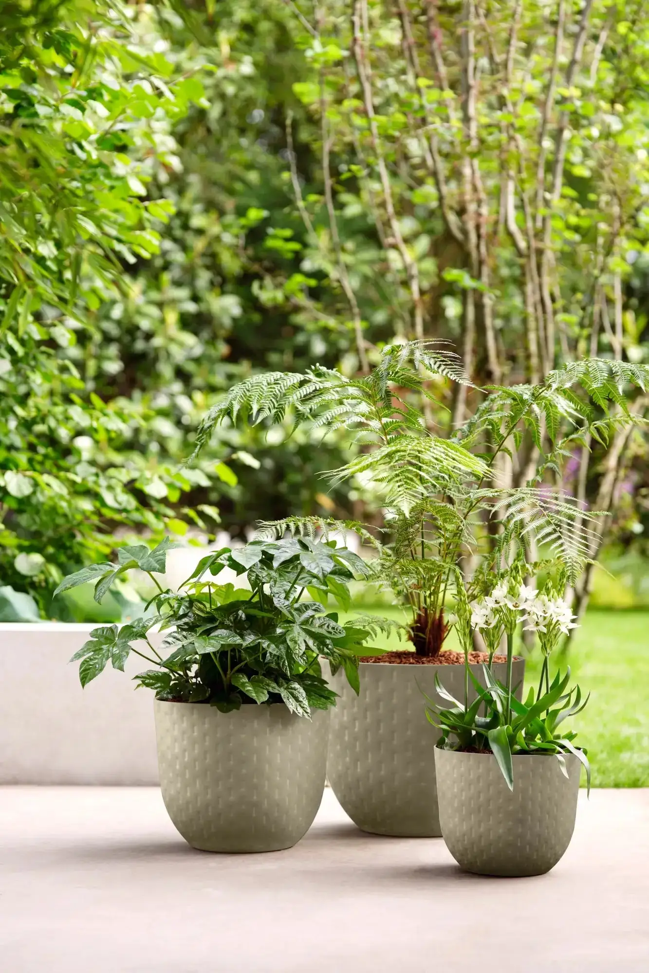 Elho Fuente Grains Round 30Cm (Grey) - Image 9