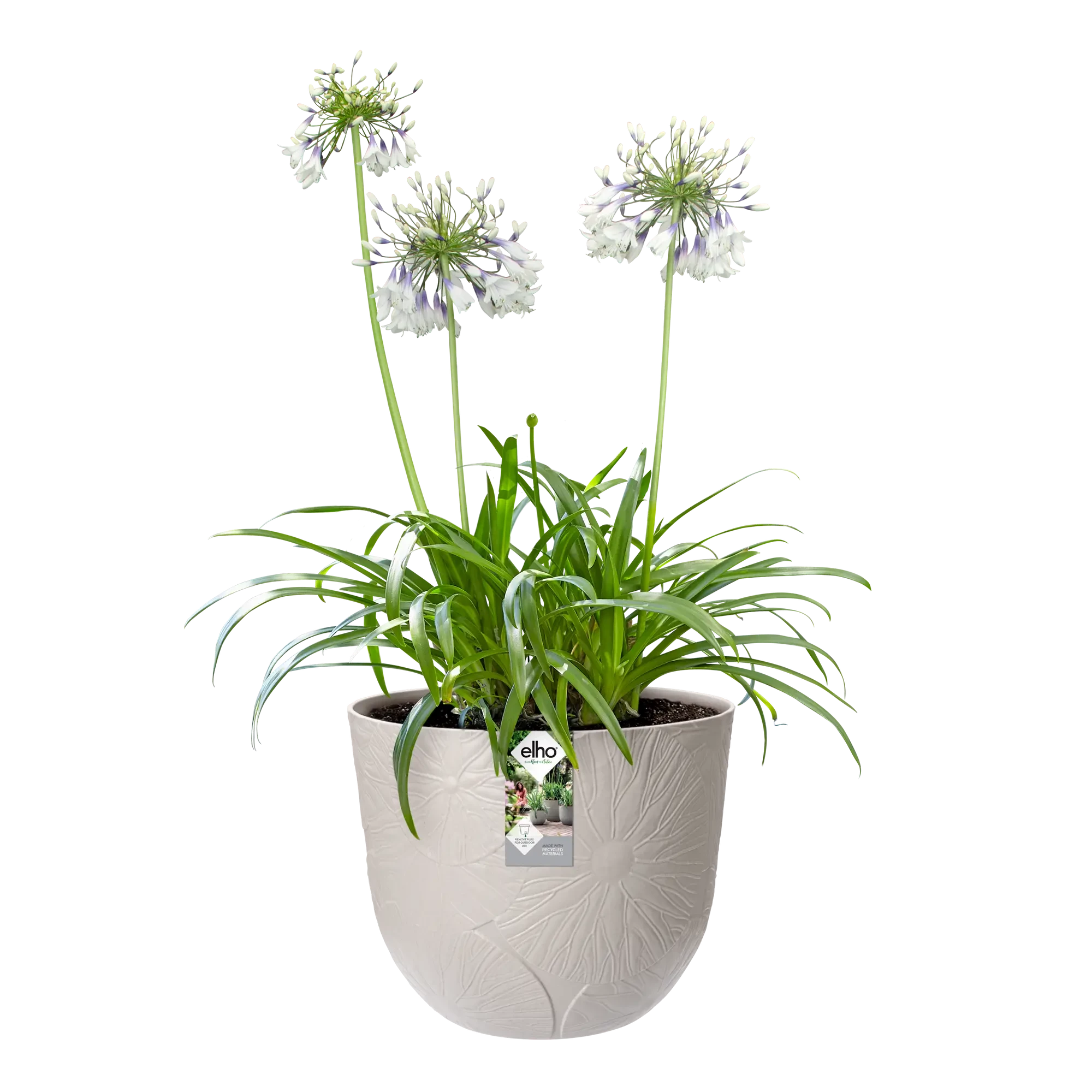 Elho Fuente Lily Round 38Cm (Grey) - Image 3