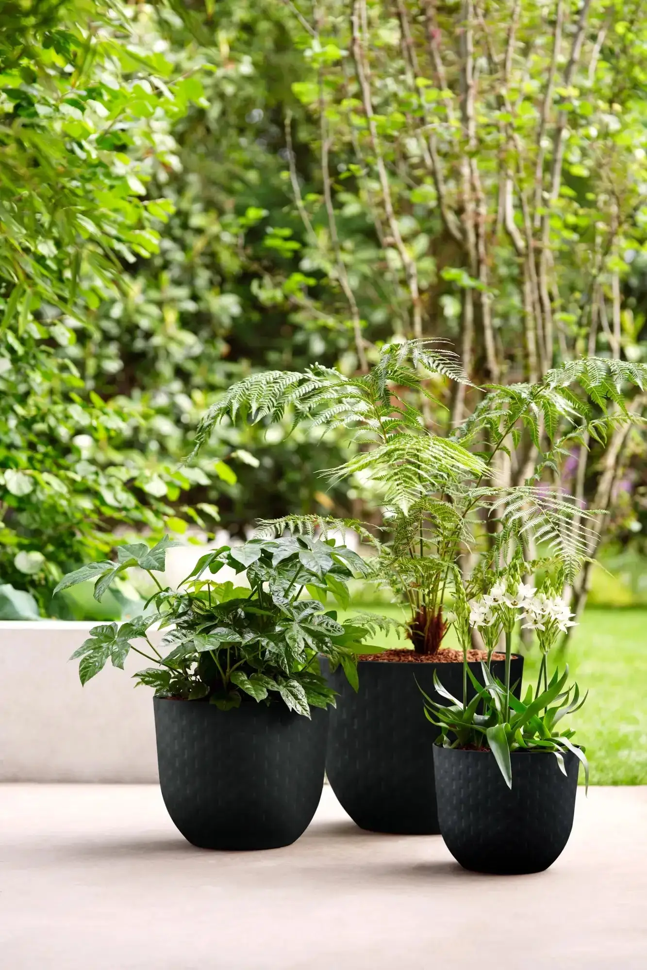 Elho Fuente Grains Round 38Cm (Black) - Image 2