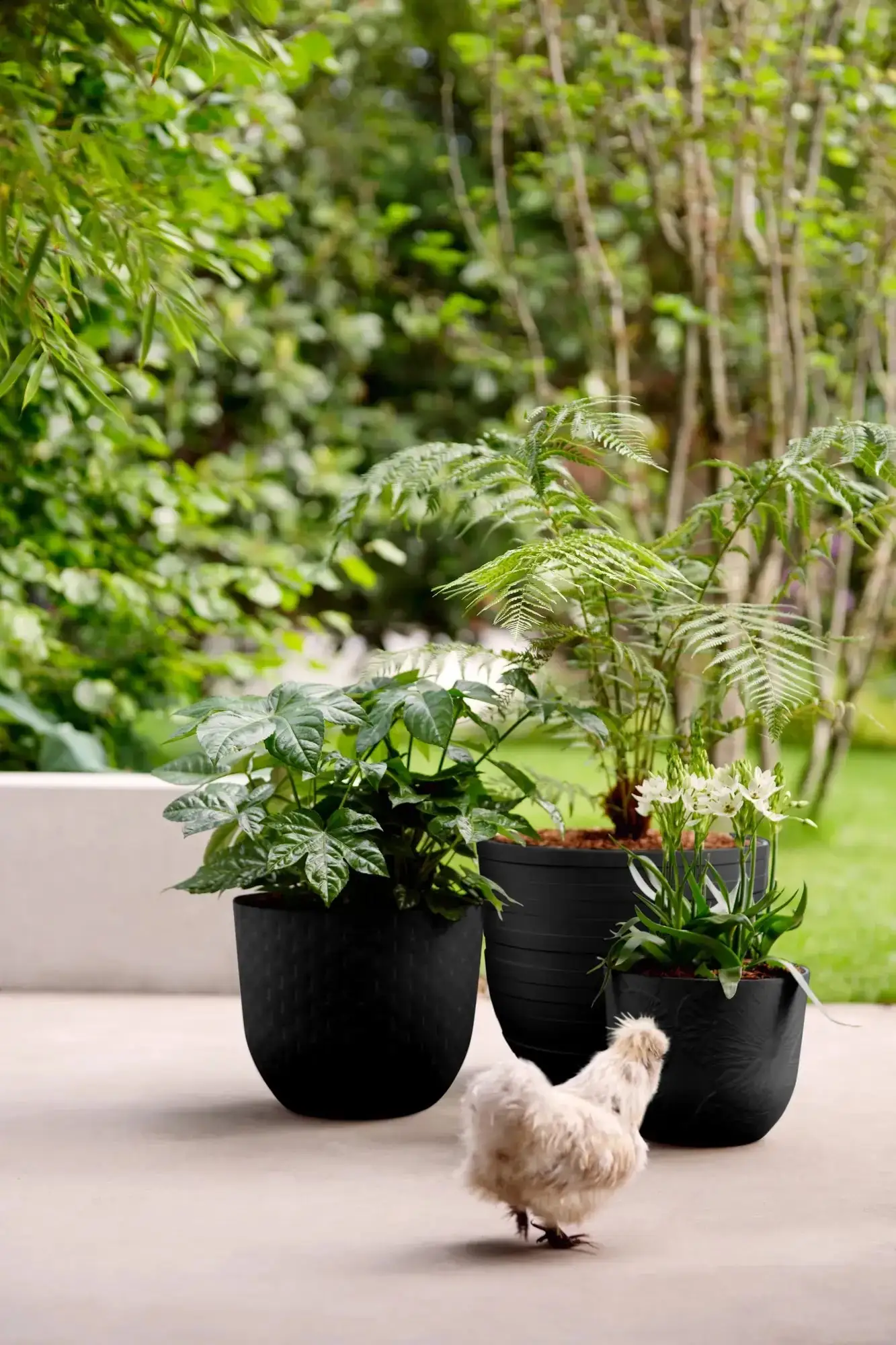 Elho Fuente Grains Round 38Cm (Black) - Image 4