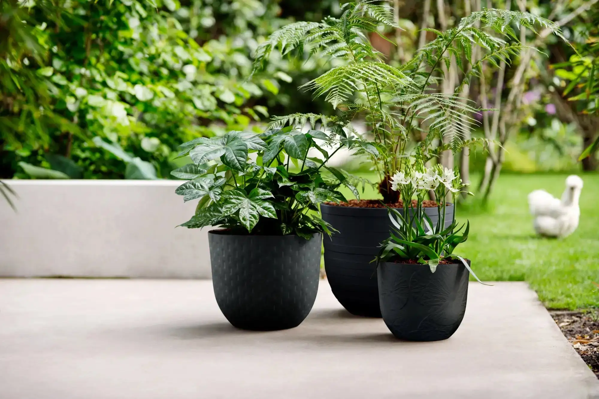 Elho Fuente Grains Round 38Cm (Black) - Image 5