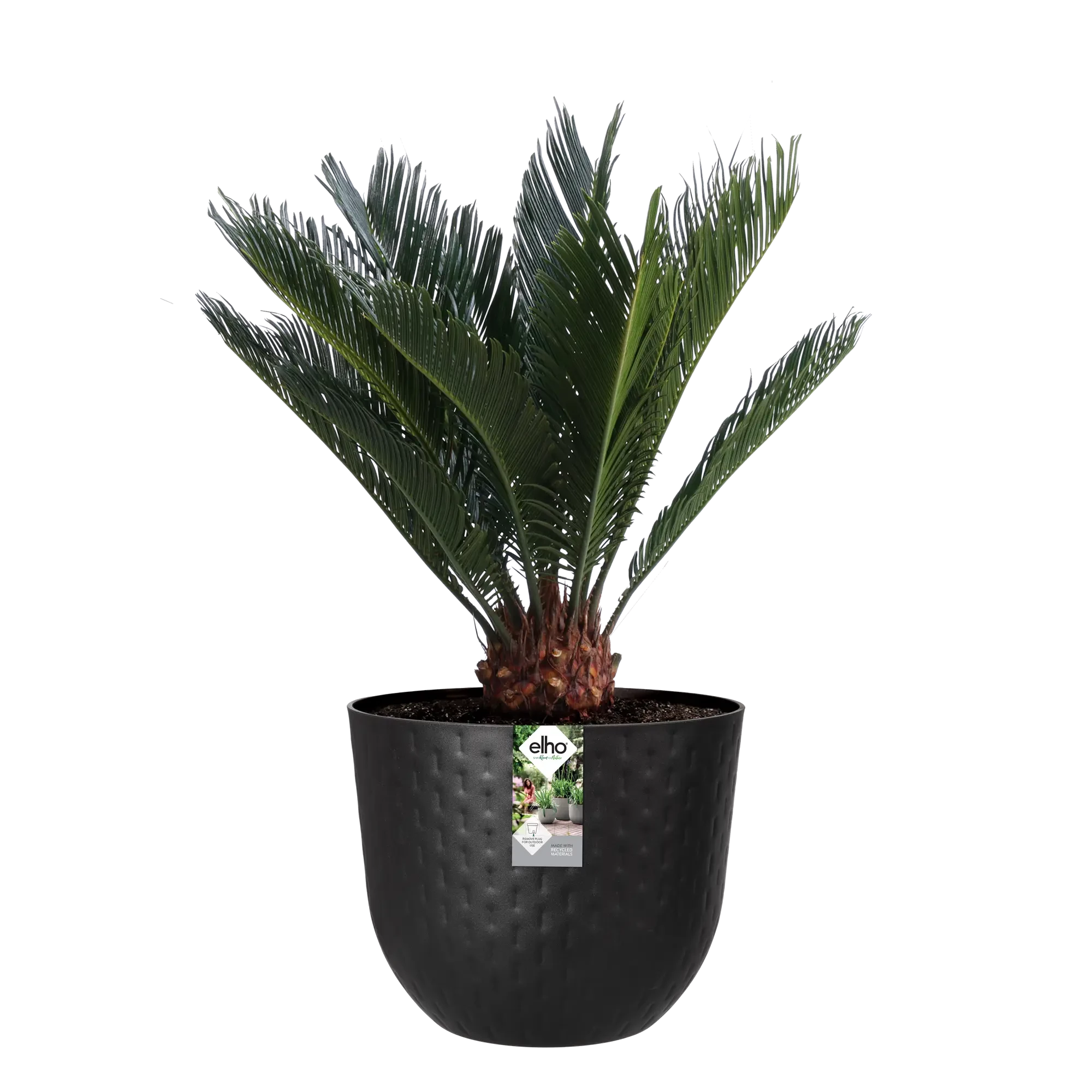 Elho Fuente Grains Round 38Cm (Black) - Image 8