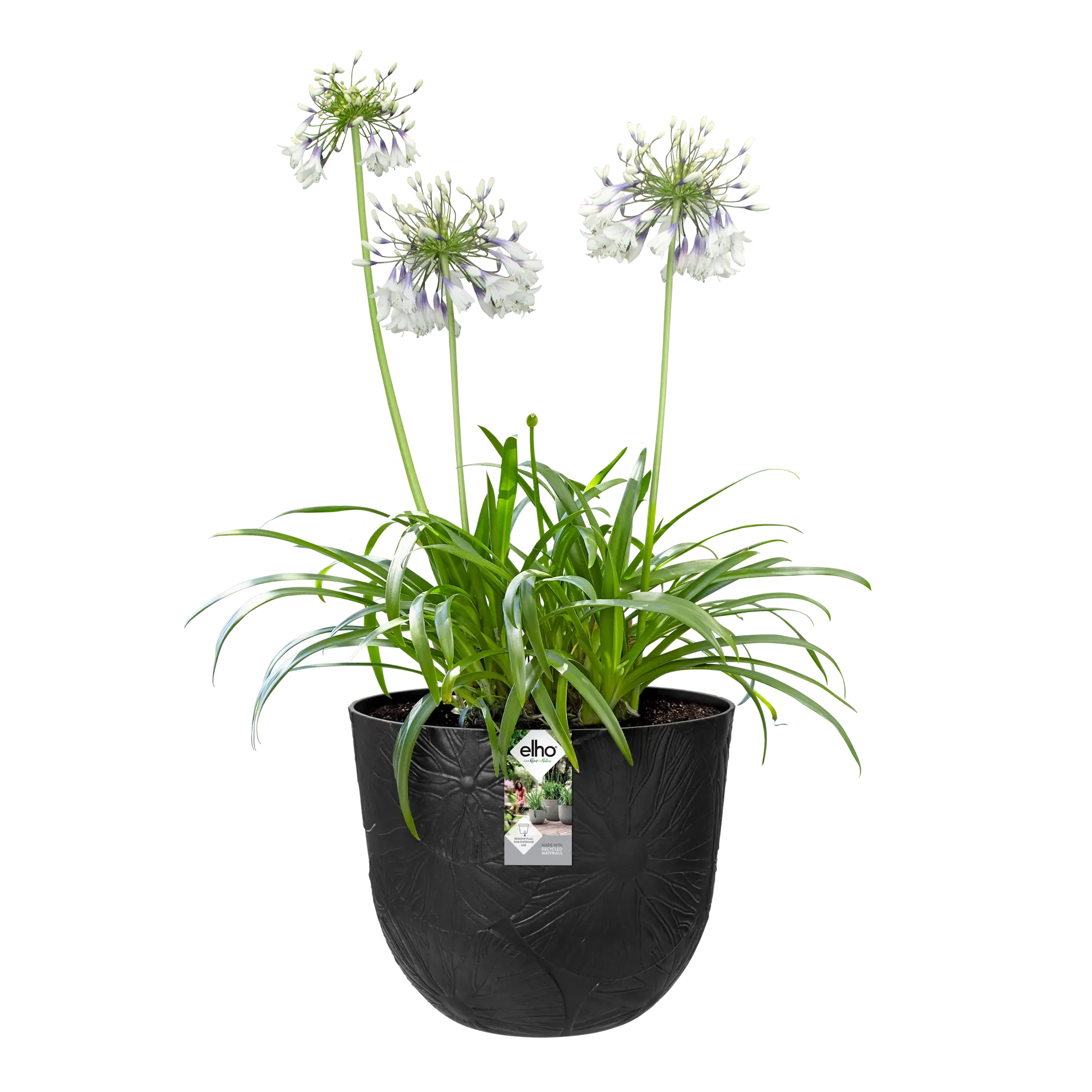 Elho Fuente Lily Round 47Cm (Black) - Image 3