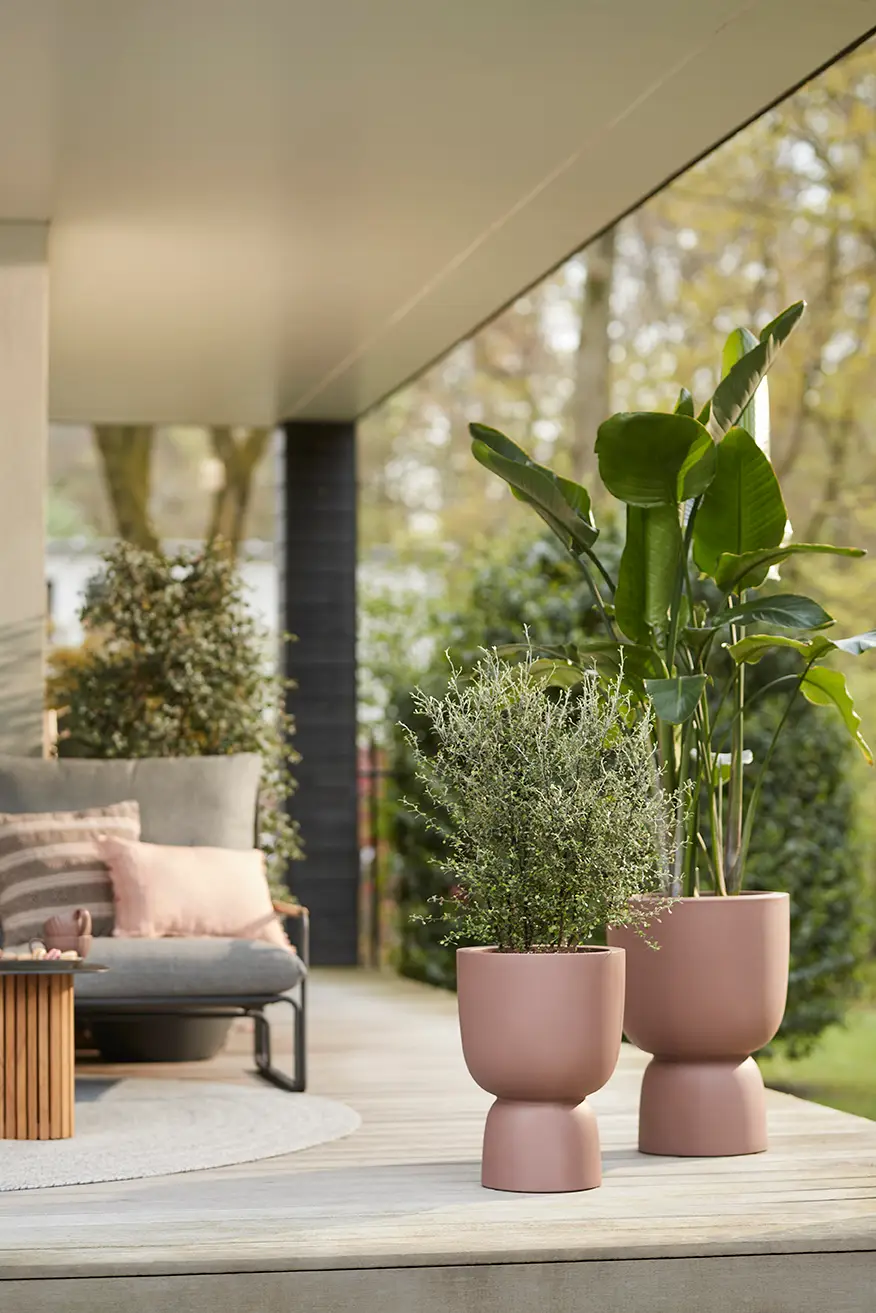 Elho Pure Coupe 35Cm (Brown) - Image 2