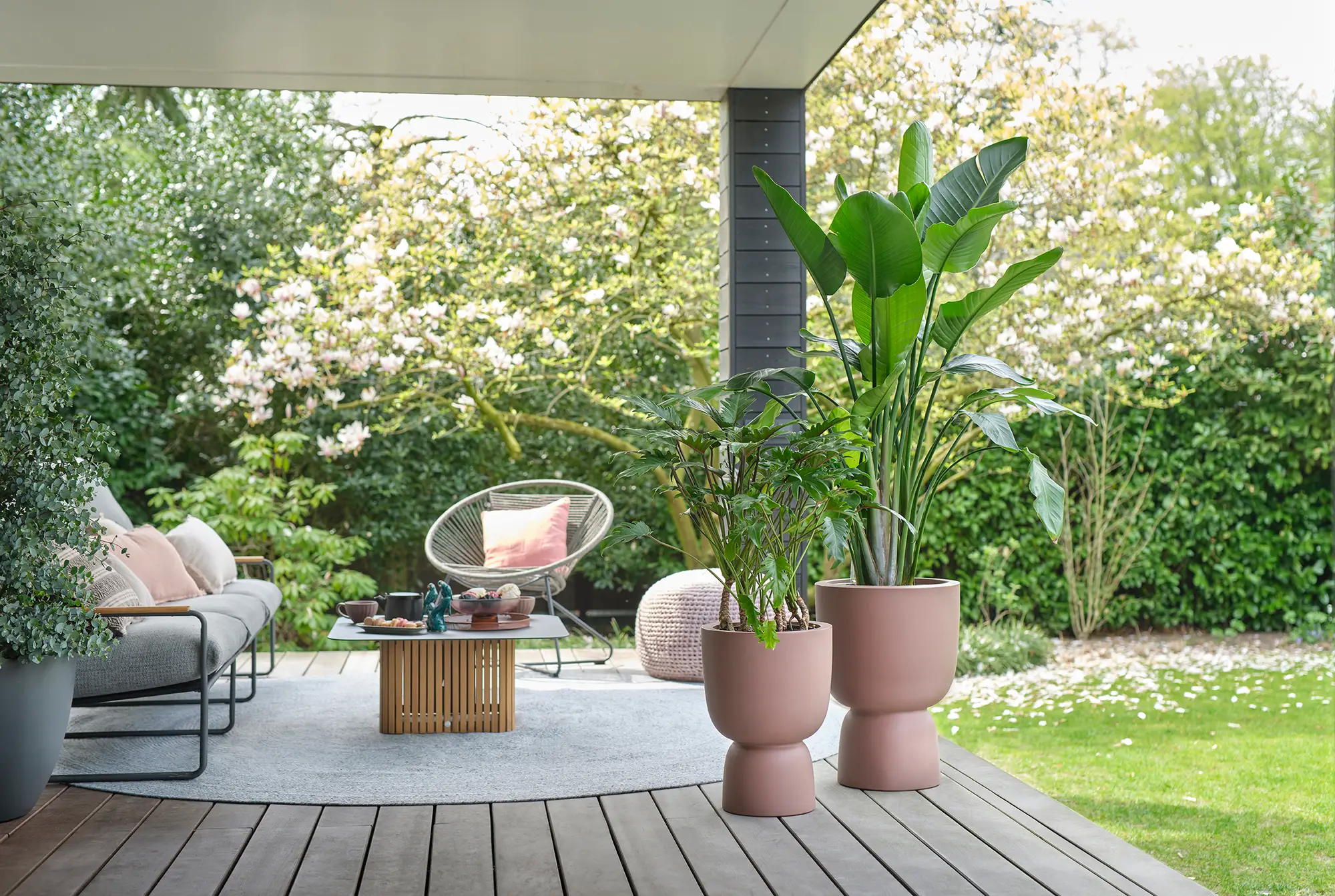 Elho Pure Coupe 35Cm (Brown) - Image 9