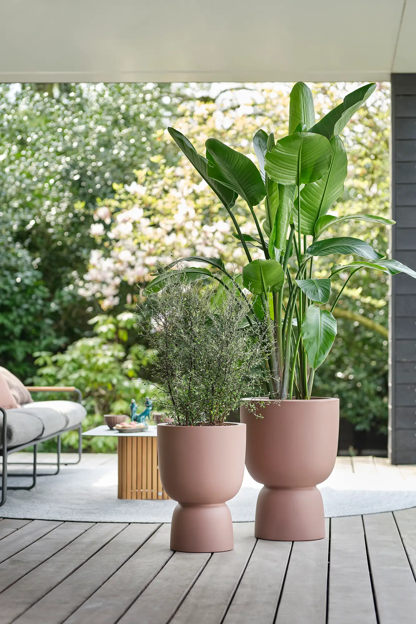 Elho Pure Coupe 35Cm (Brown) - Image 10