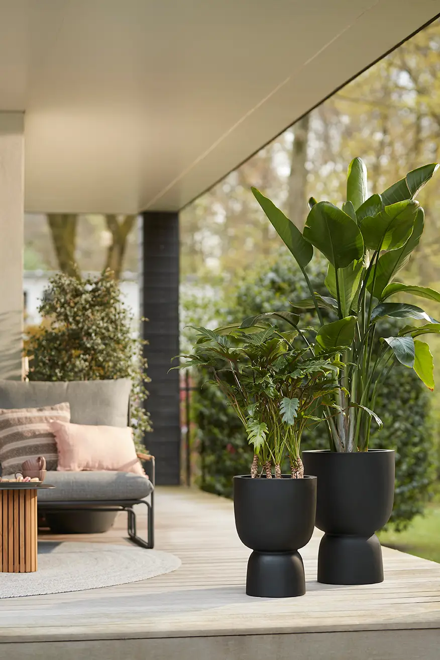 Elho Pure Coupe 41Cm (Black) - Image 13