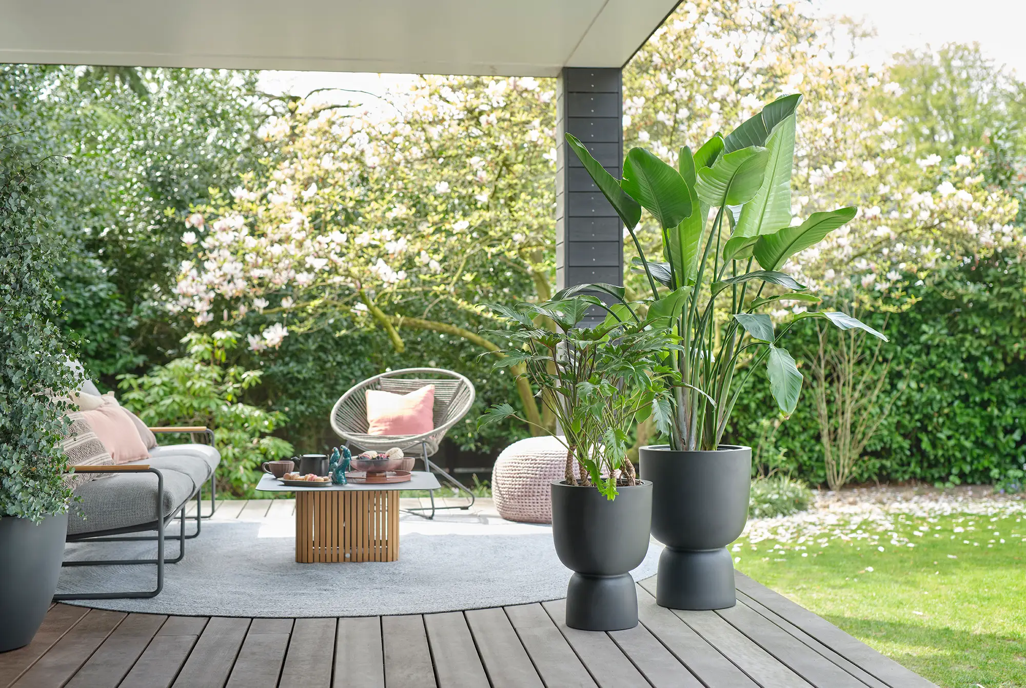 Elho Pure Coupe 41Cm (Black) - Image 19