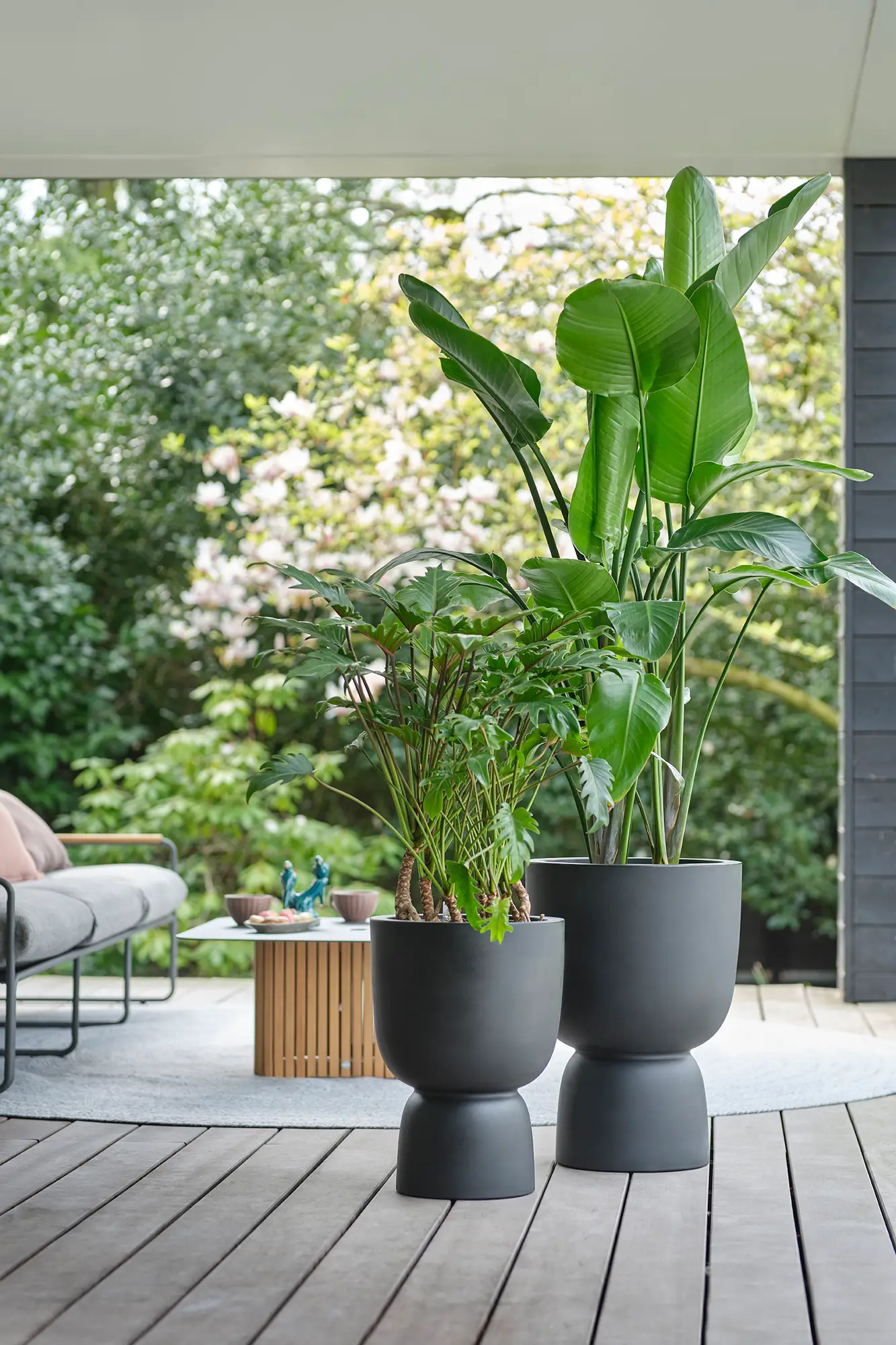 Elho Pure Coupe 41Cm (Black) - Image 20