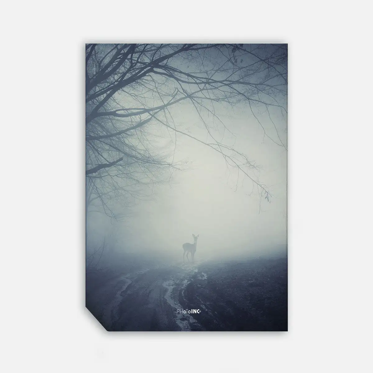 Incado Misty Road, 50cmx70cm Wall Art
