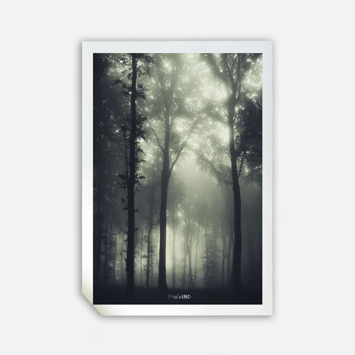 Incado Daggry, 50cmx70cm Wall Art