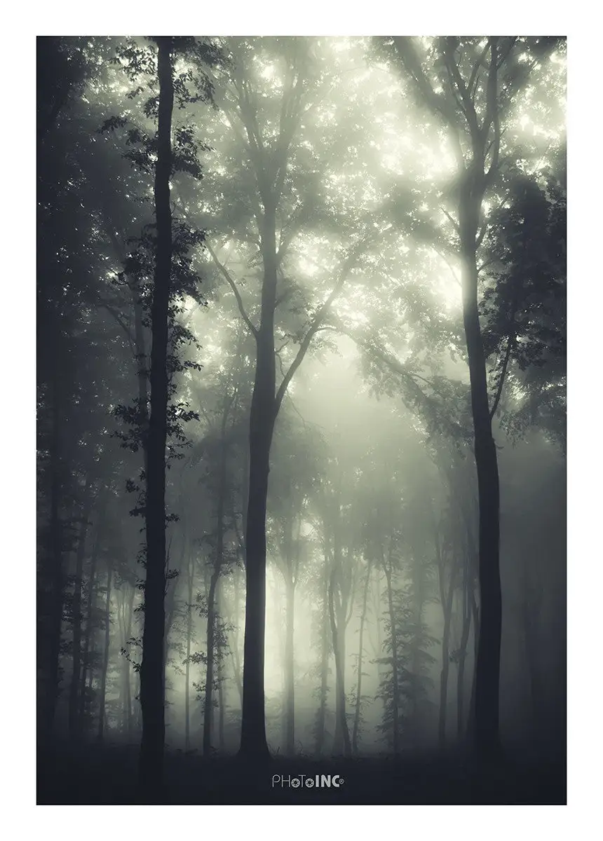 Incado Daggry, 50cmx70cm Wall Art - Image 2