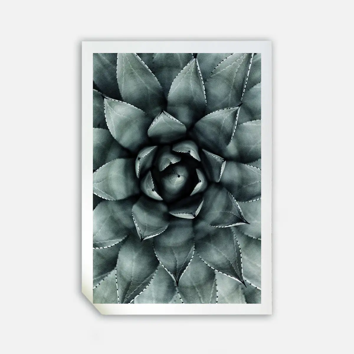 Incado Green Star, 50cmx70cm Wall Art