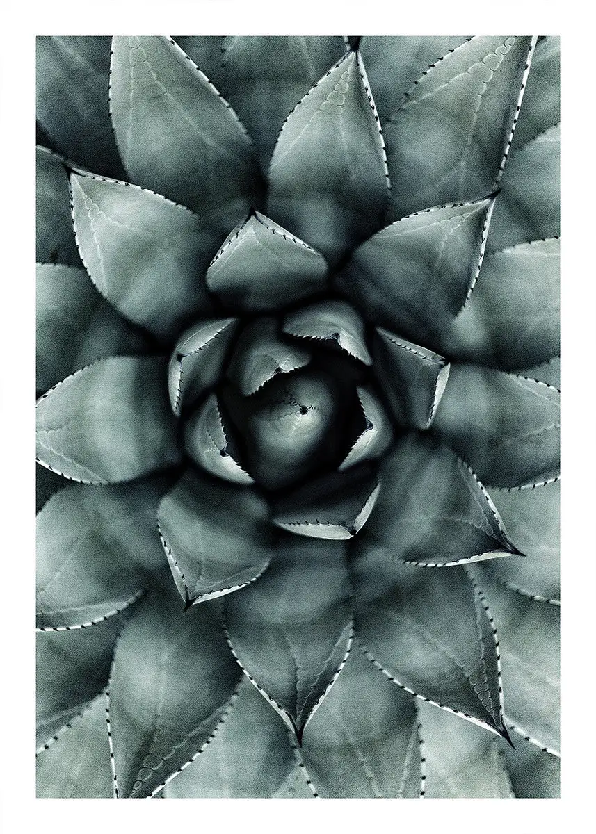 Incado Green Star, 50cmx70cm Wall Art - Image 3