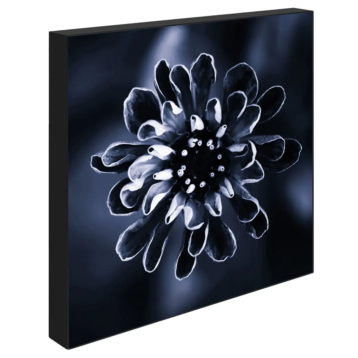 Incado Daisy, 15cmx15cm Art Block