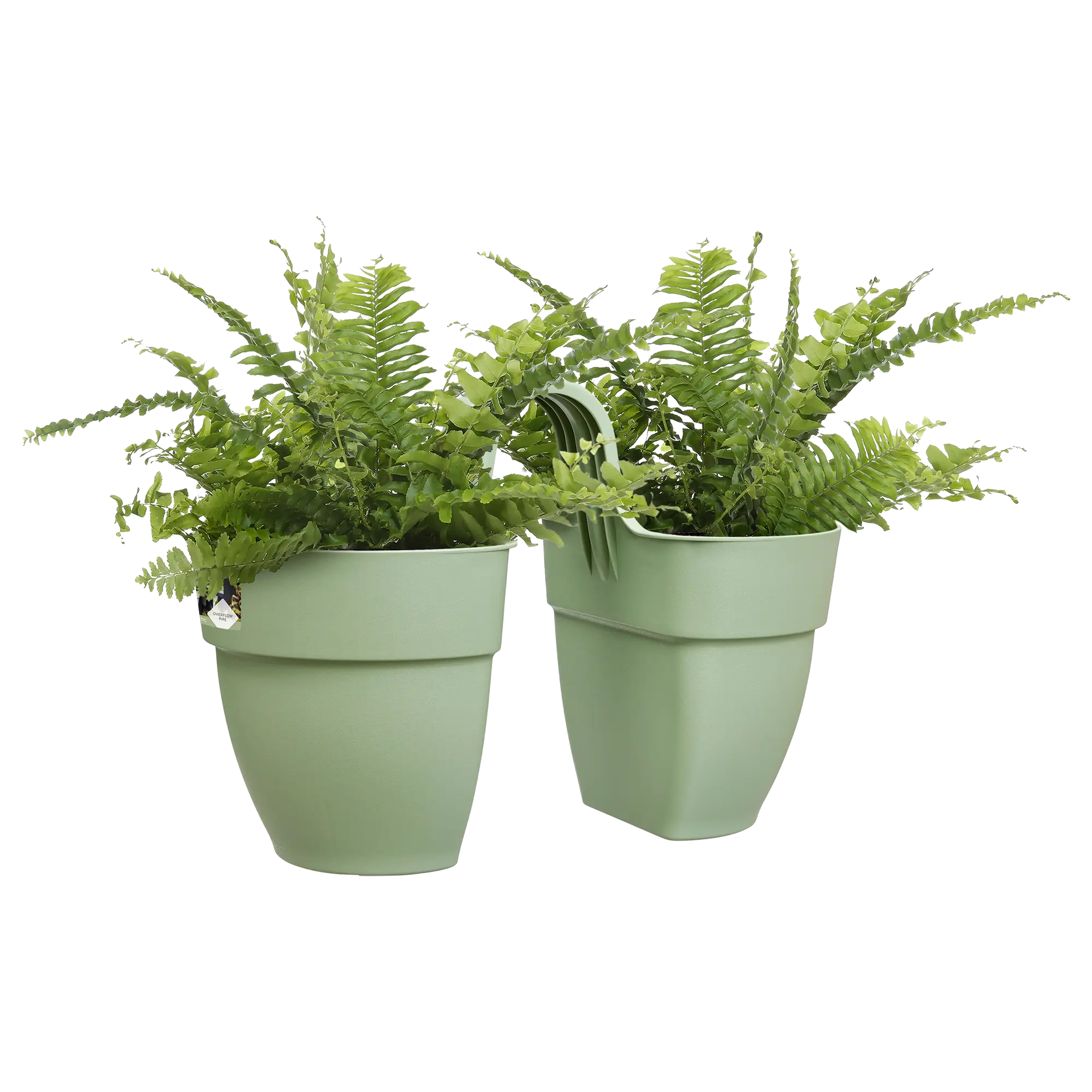 Elho Vibia Campana Flower Twin 21Cm (Green) - Image 4