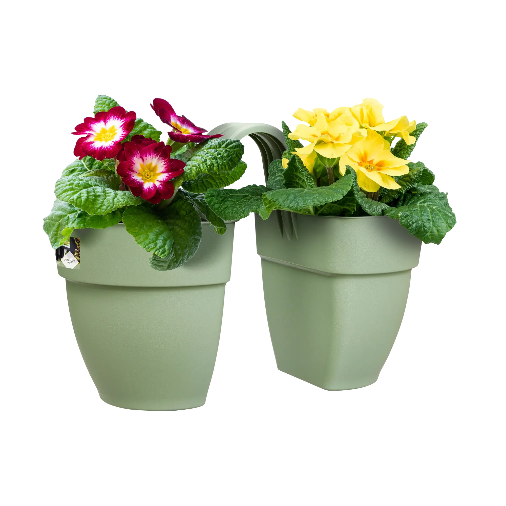 Elho Vibia Campana Flower Twin 21Cm (Green) - Image 5