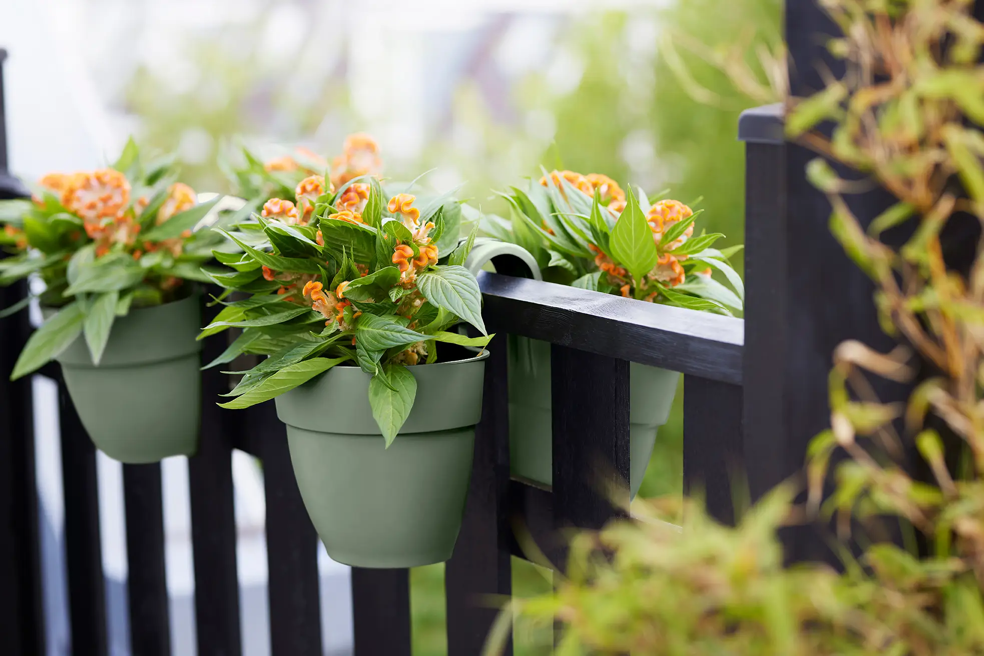 Elho Vibia Campana Flower Twin 21Cm (Green) - Image 7