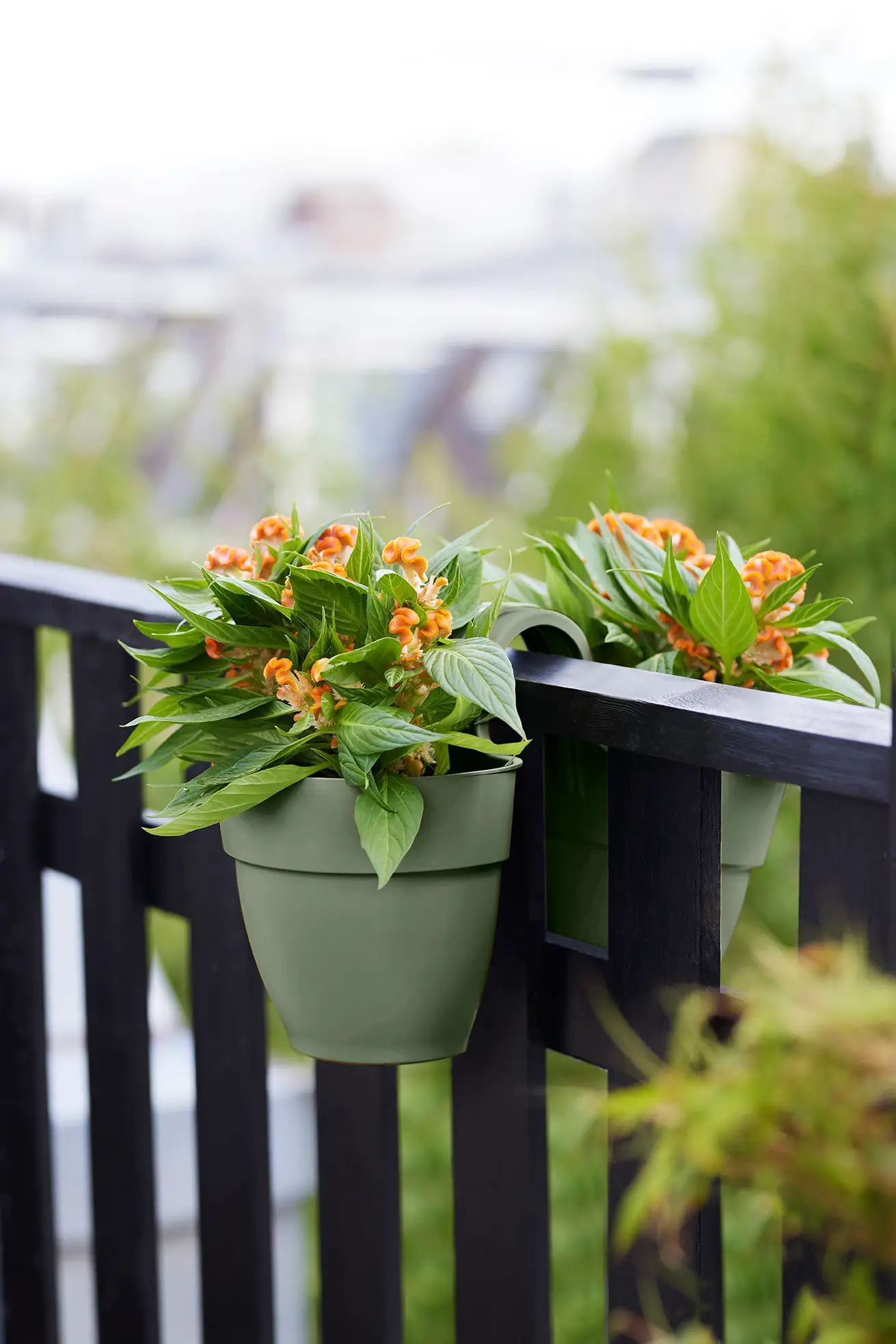 Elho Vibia Campana Flower Twin 21Cm (Green) - Image 8