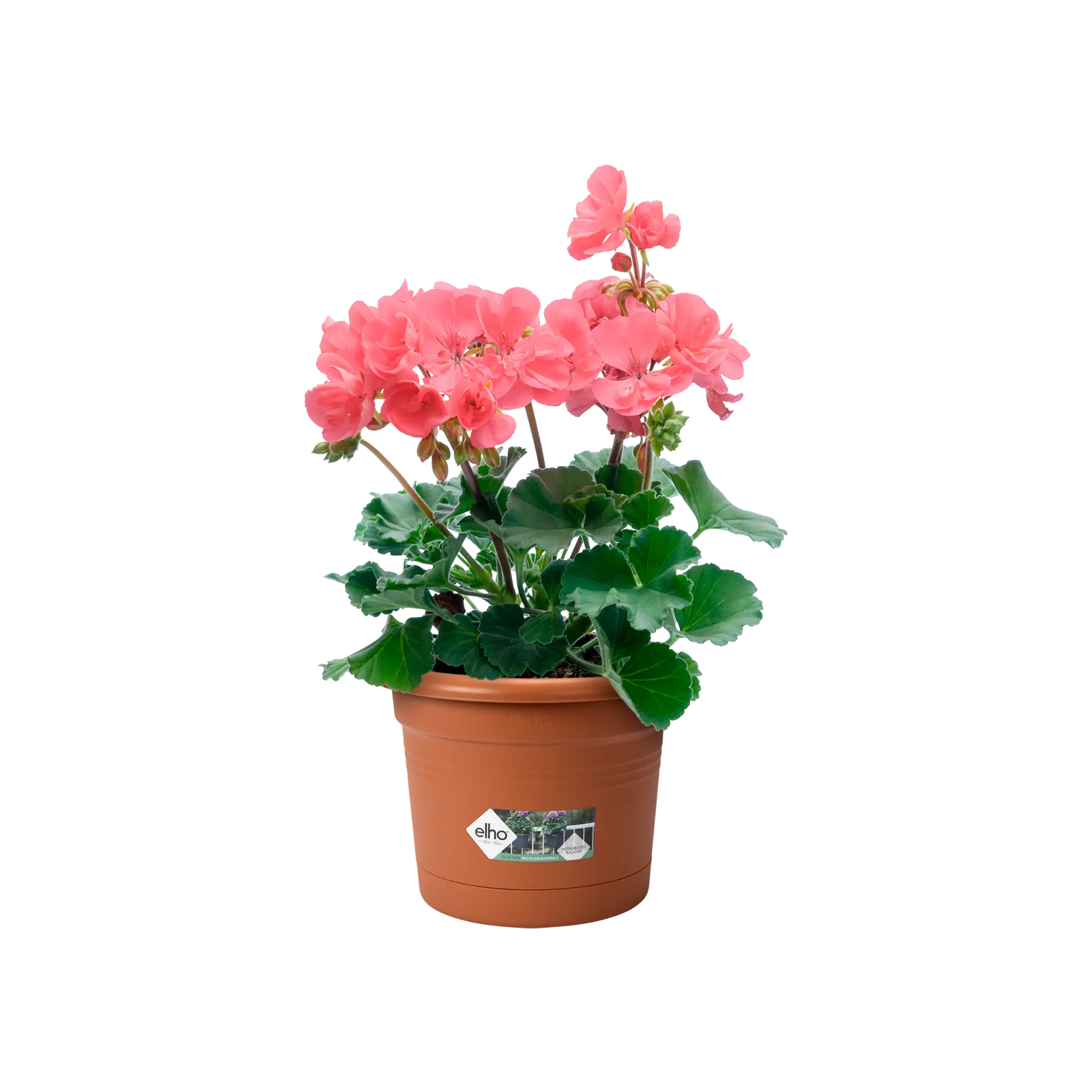 Elho Green Basics Balcony Potholder All-In-1 (Terra) - Image 4