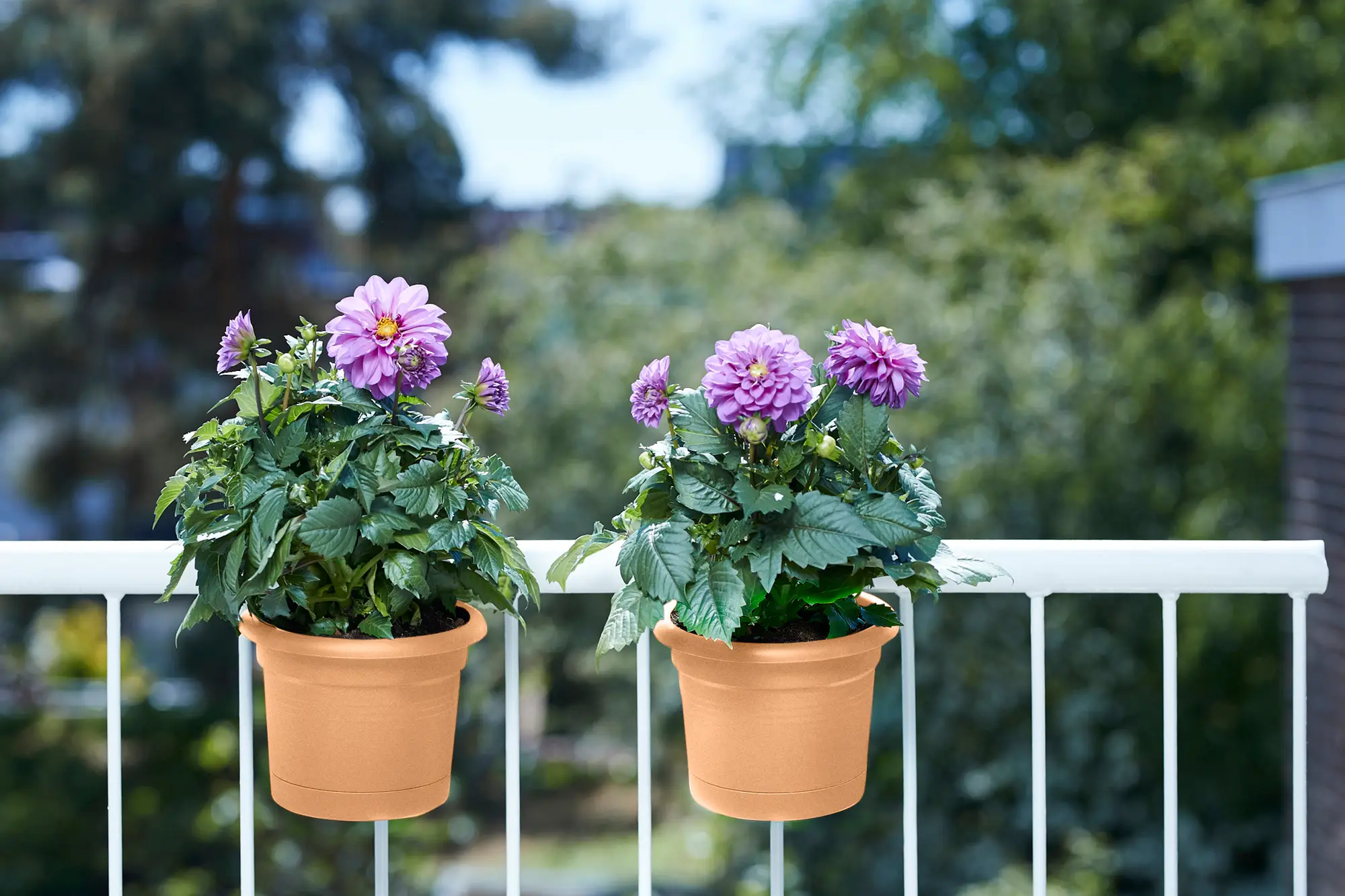 Elho Green Basics Balcony Potholder All-In-1 (Terra) - Image 6