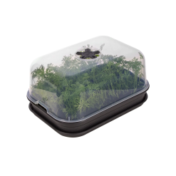 Elho Green Basics Grow Kit Allin1 (Black)