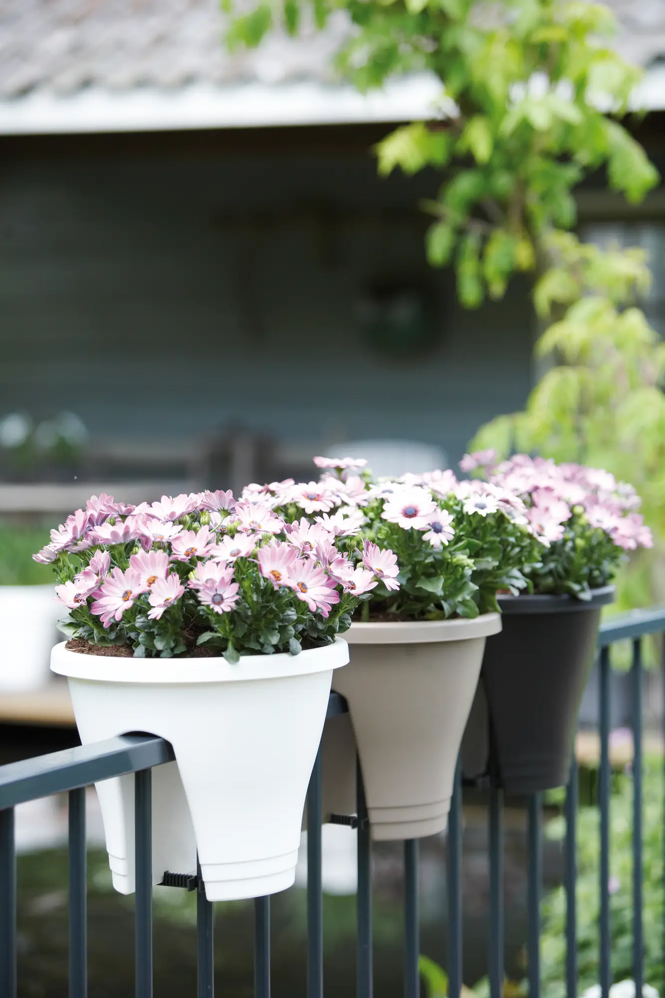 Elho Corsica Flower Bridge 30Cm (Taupe) - Image 4