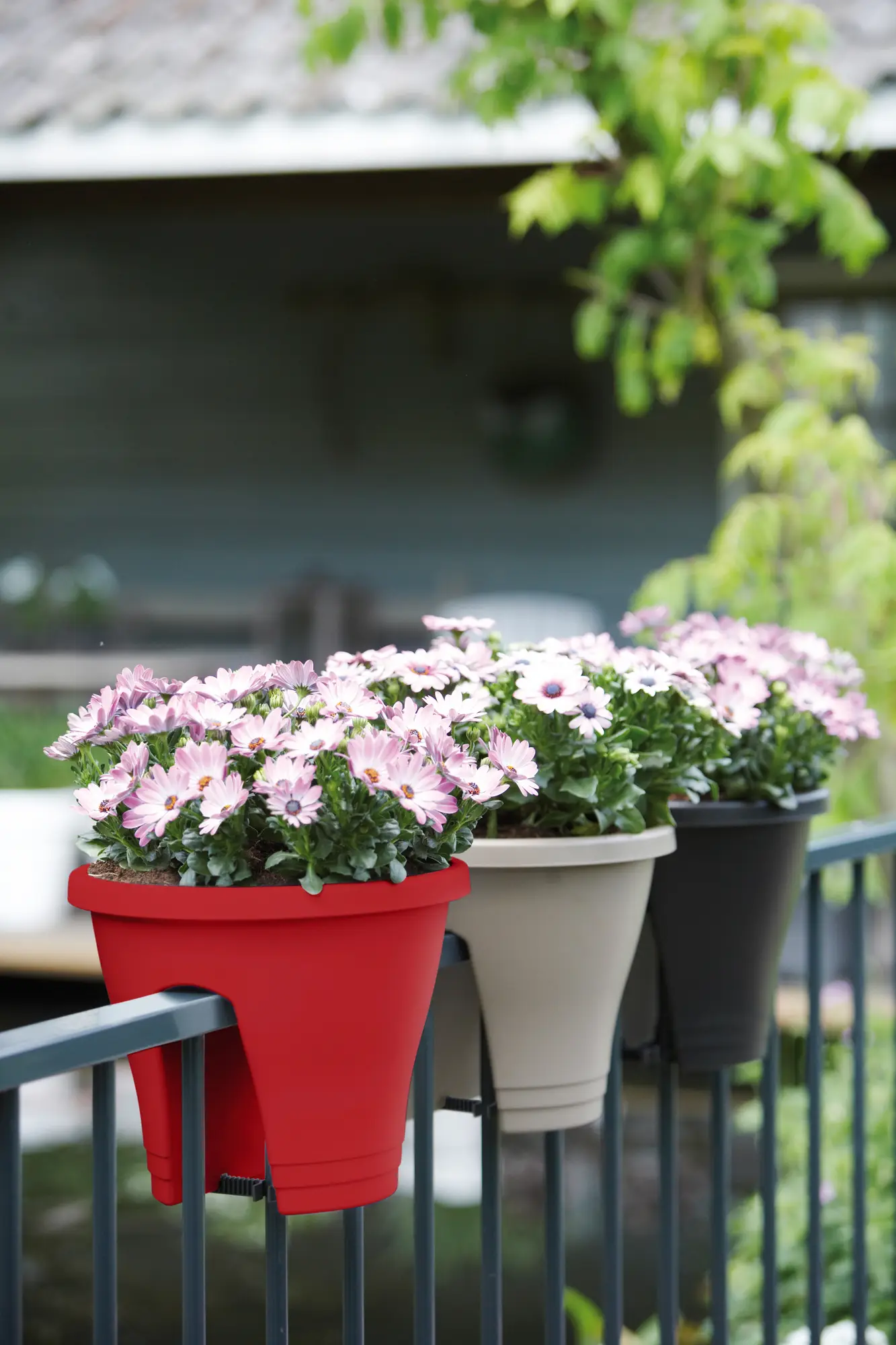 Elho Corsica Flower Bridge 30Cm (Red) - Image 4