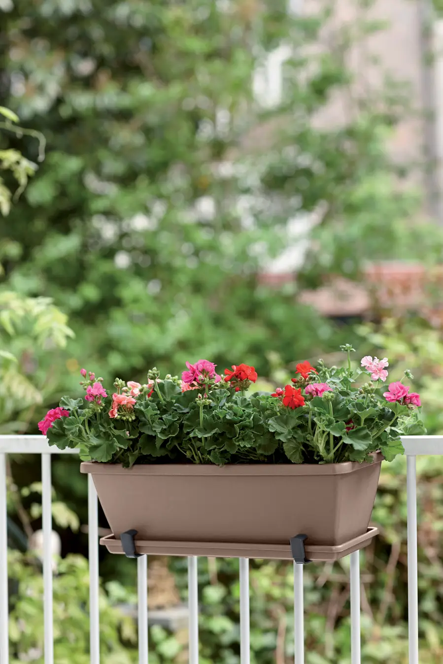 Elho Barcelona Trough 50cm (Taupe) - Image 5