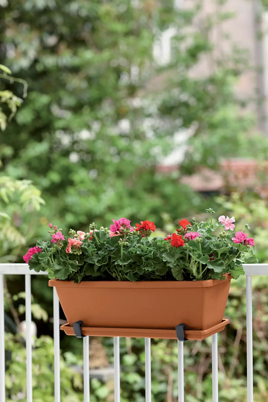 Elho Barcelona Trough 70Cm (Terra) - Image 5