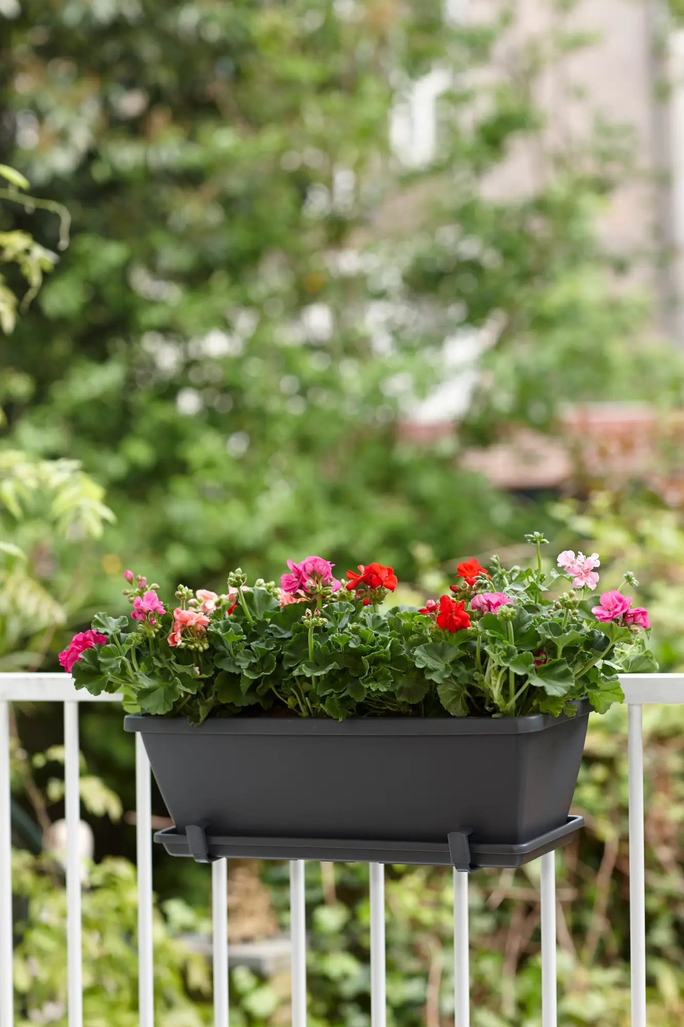 Elho Barcelona Trough Saucer 90Cm (Anthracite) - Image 3