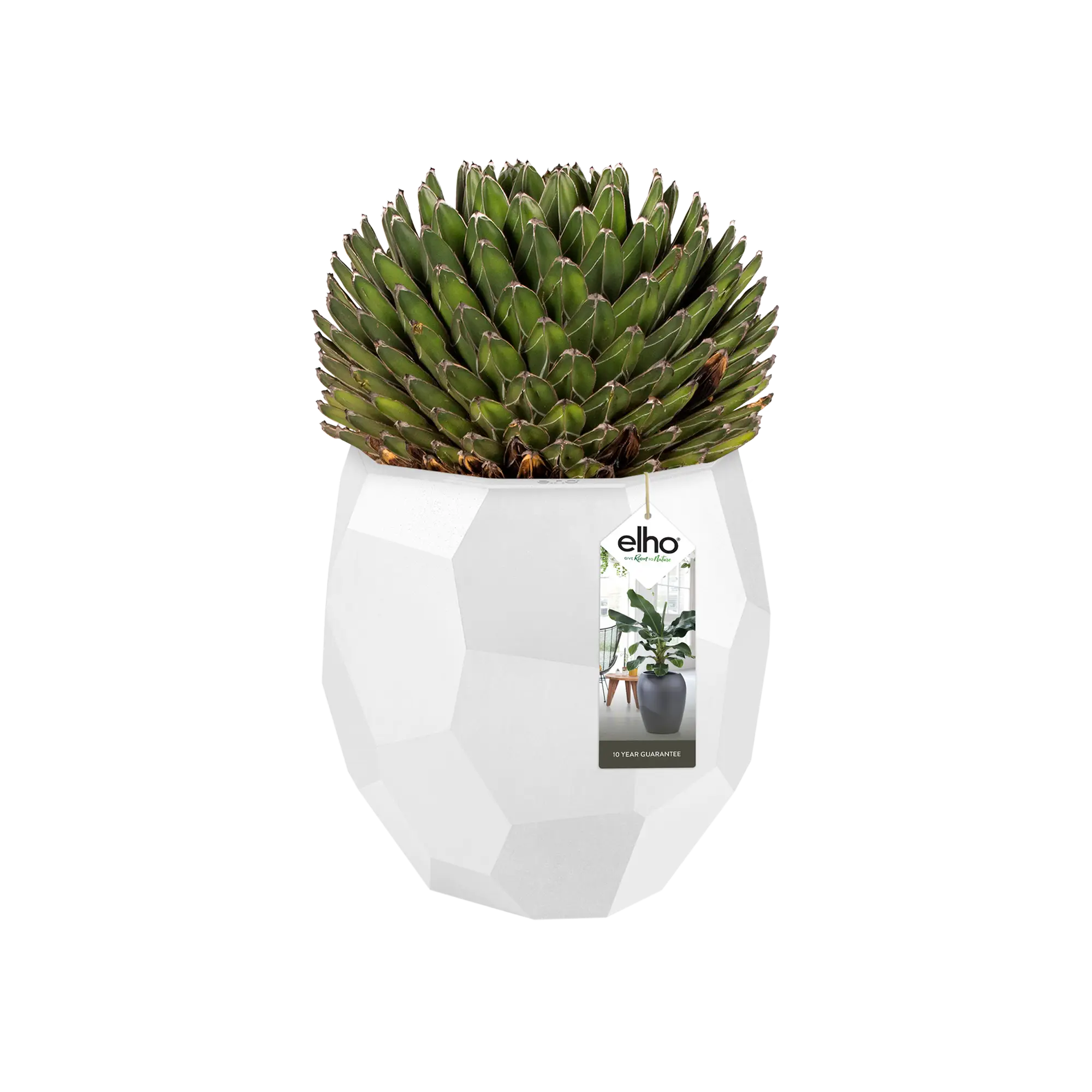 Elho Pure Edge 40 (White) - Image 3