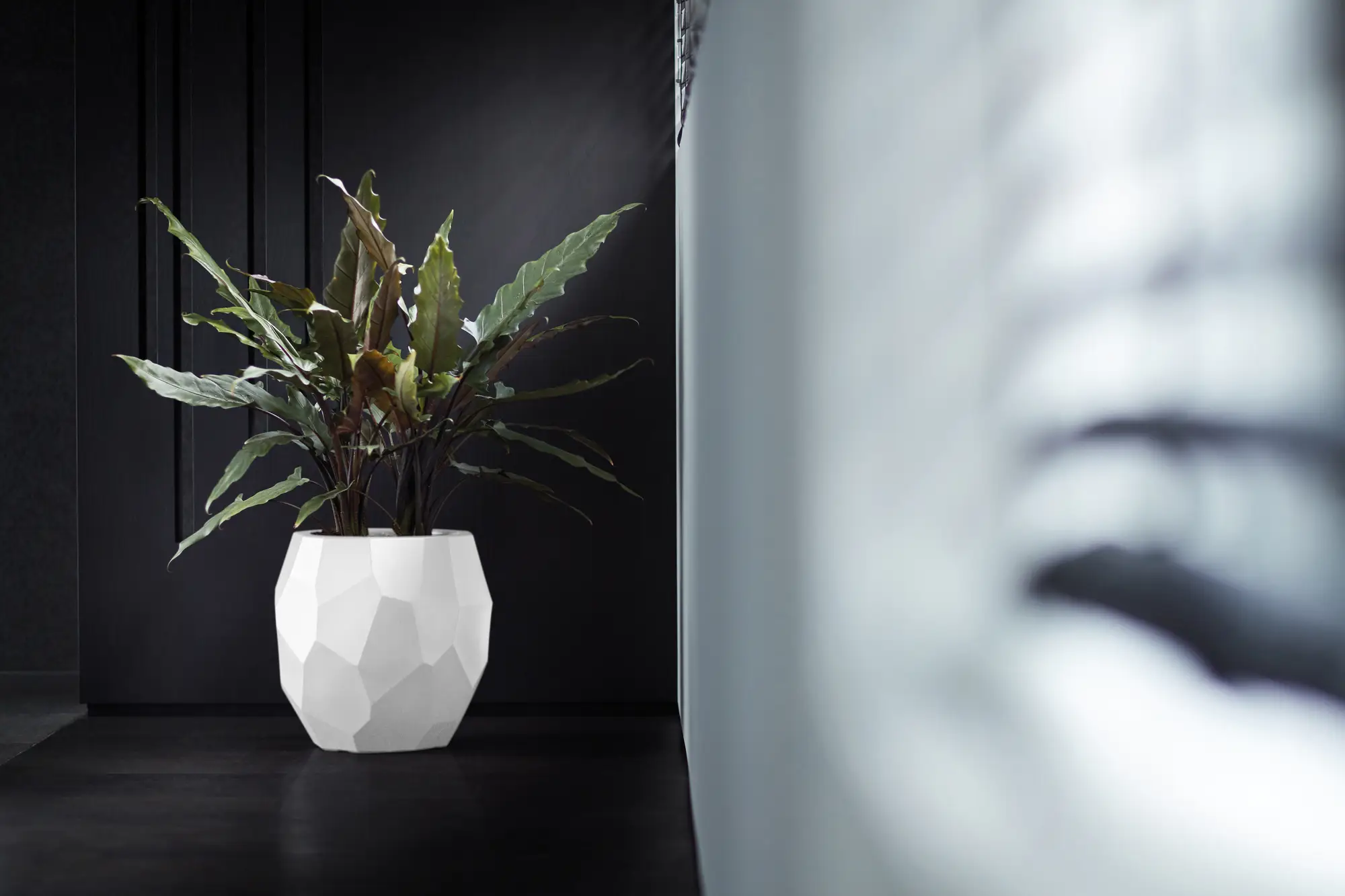 Elho Pure Edge 40 (White) - Image 4